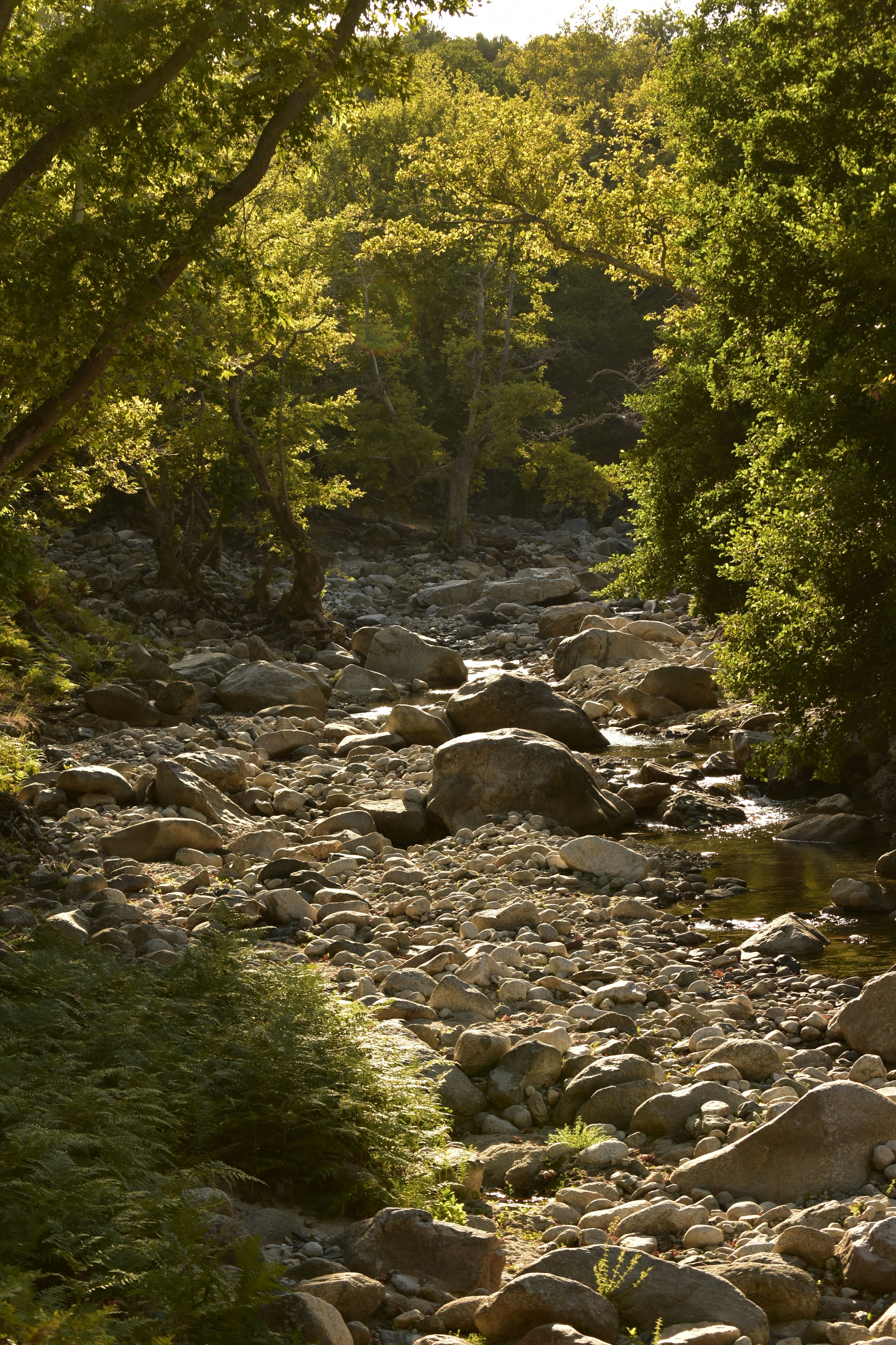 Photo by tanya_boncheva