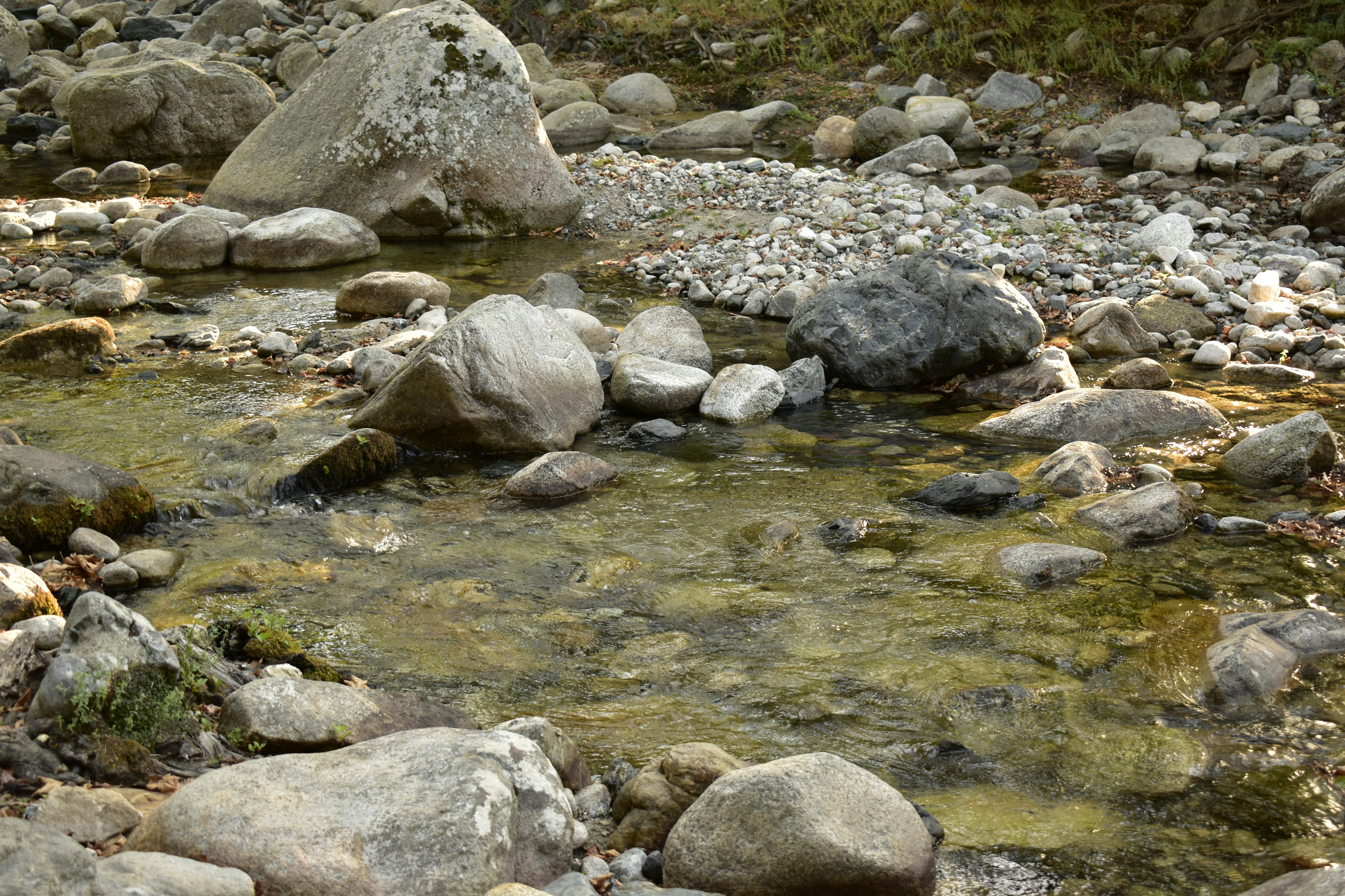 Photo by tanya_boncheva