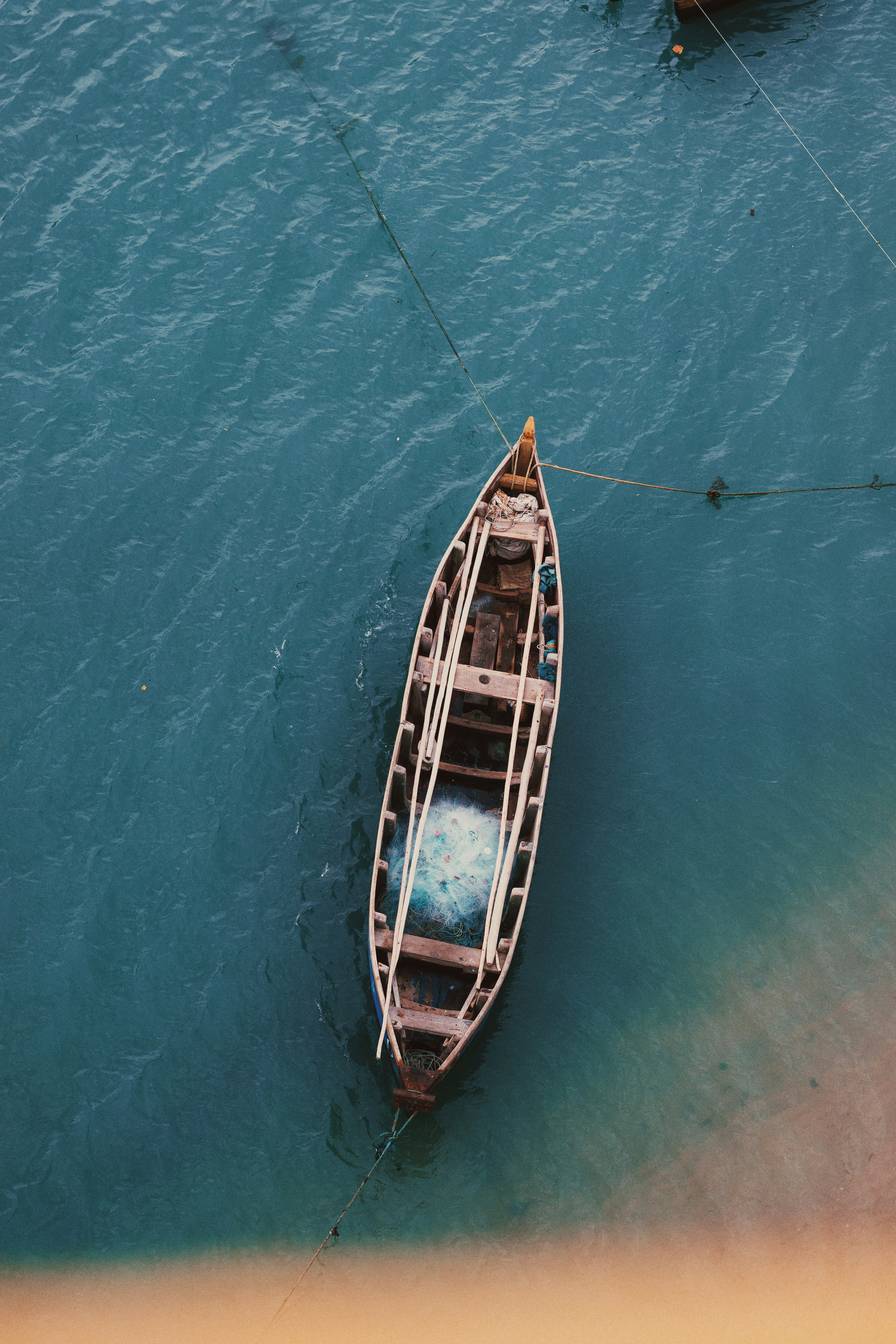 Photo by dhilipantony