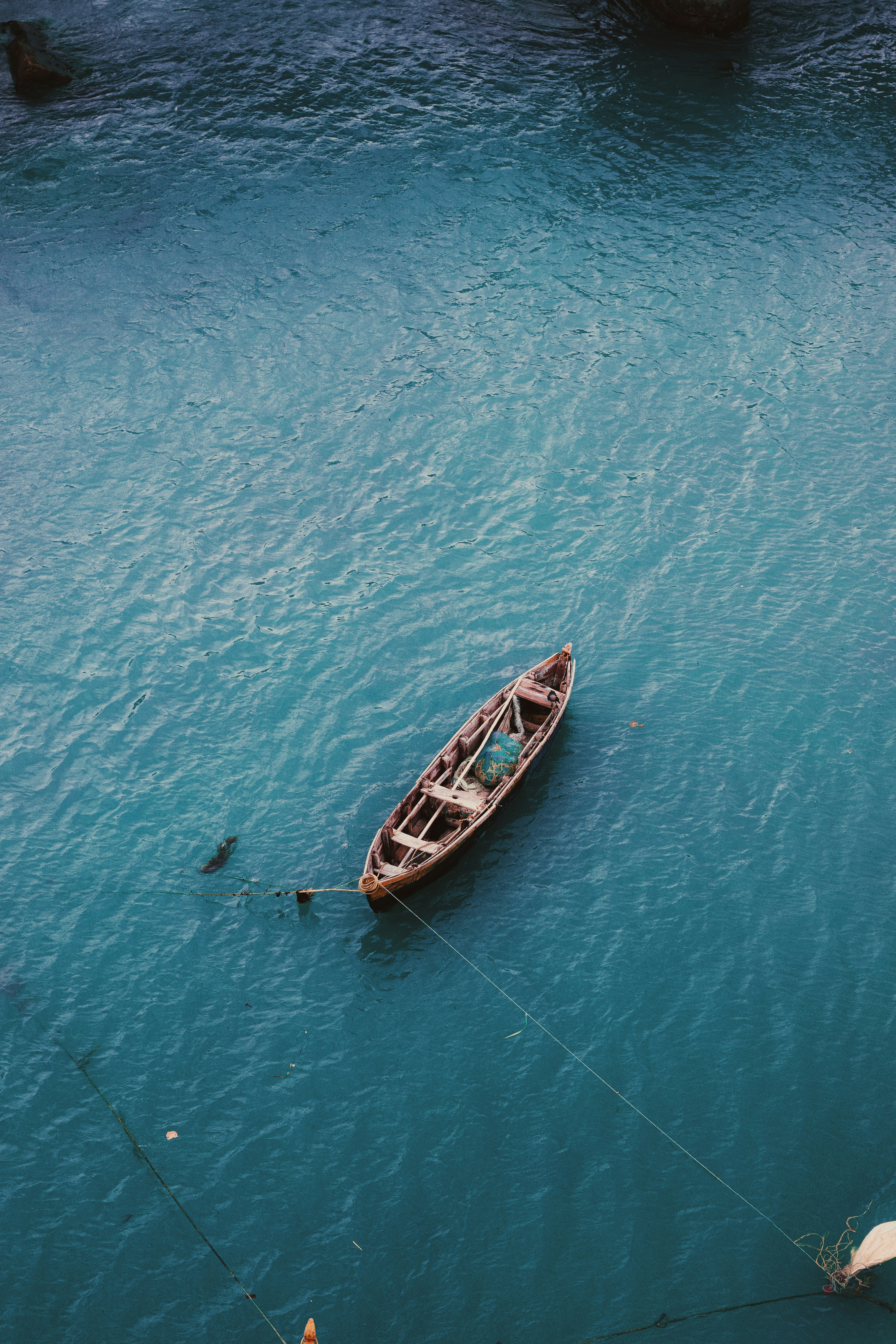 Photo by dhilipantony