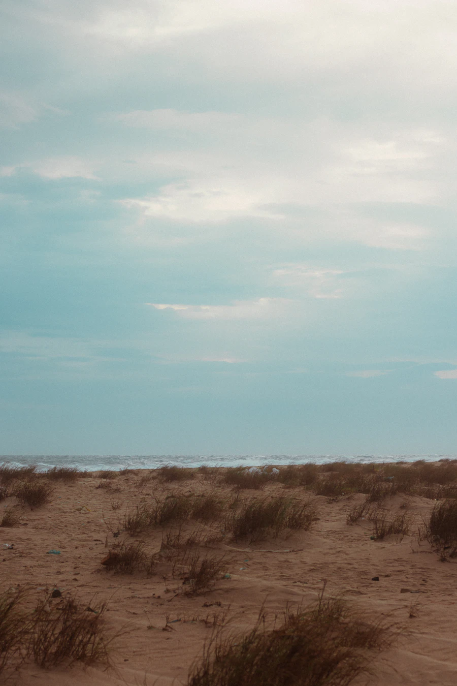 Atlantic beach dunes and sea grass on eastern Long Island