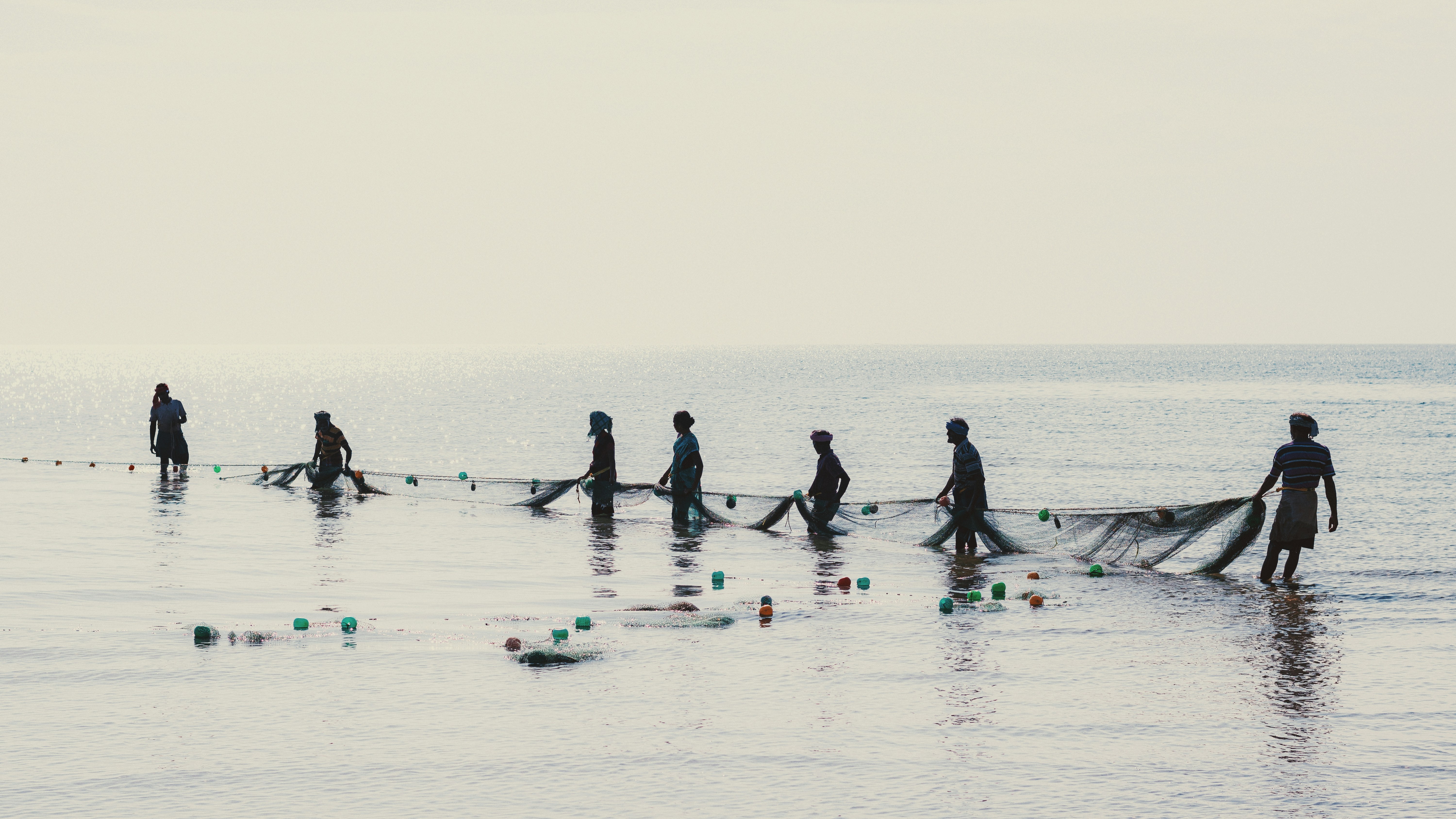 Fishermen pulling a net in shallow water