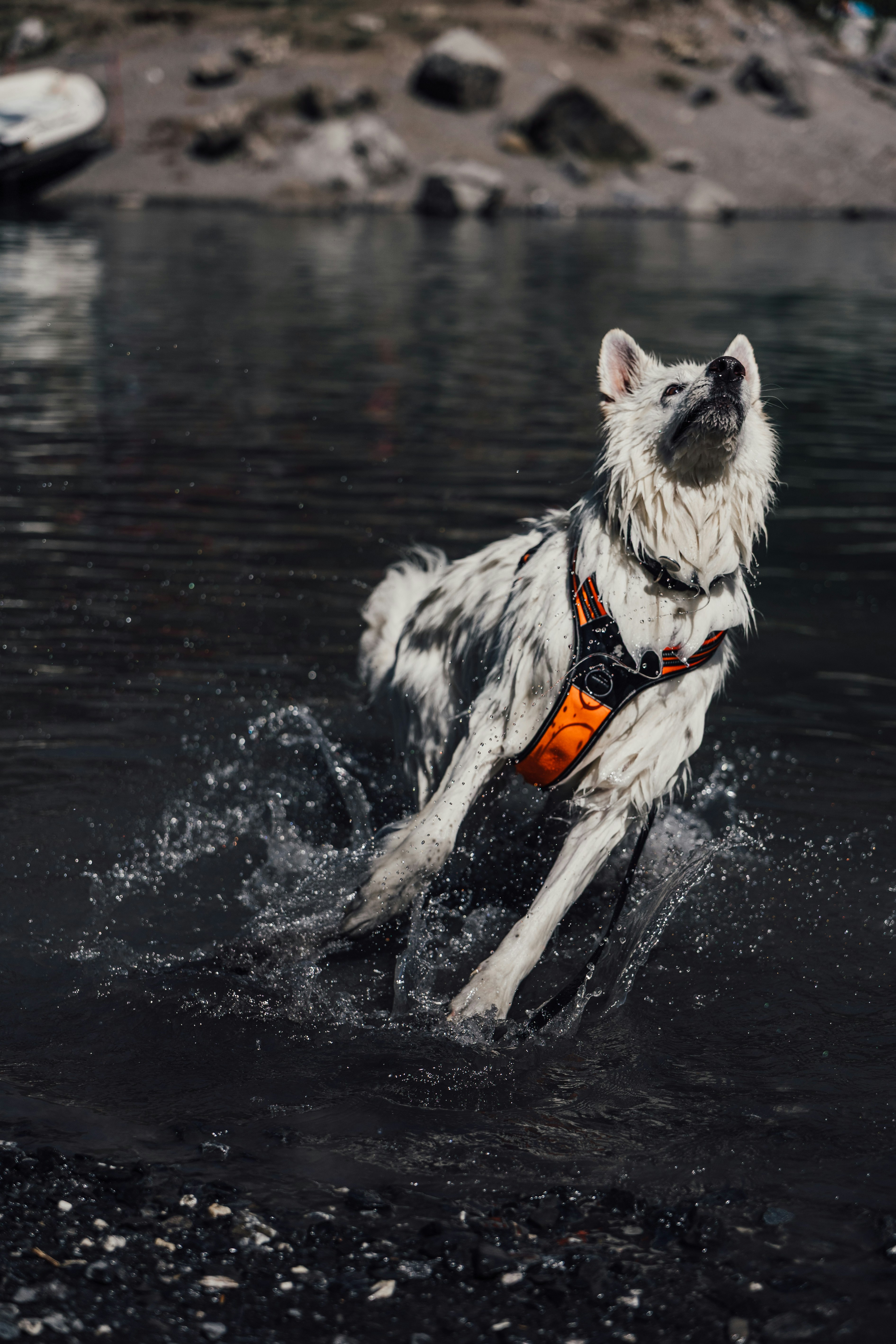 Photo by emilipothese