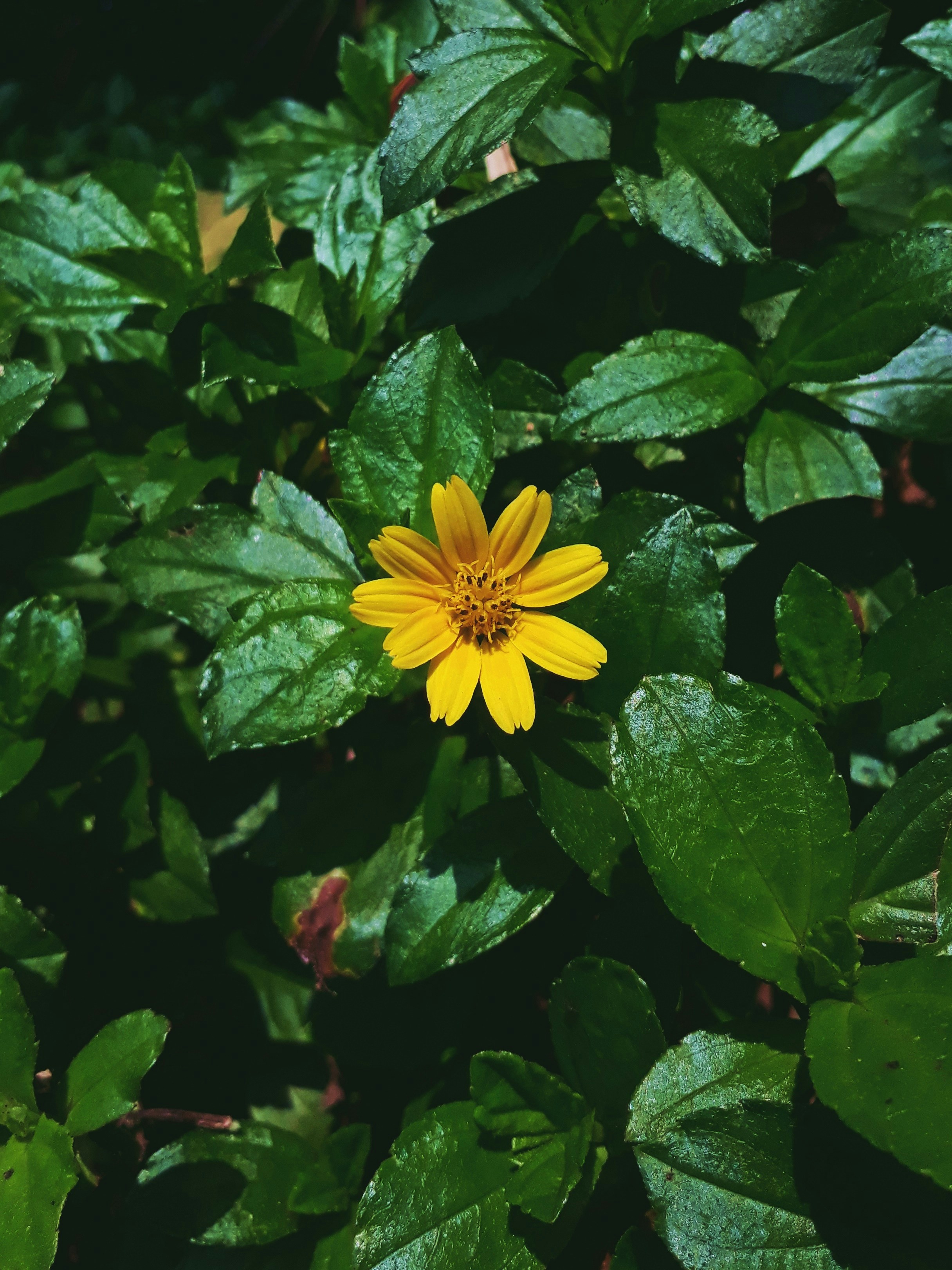 Photo by milaoktasafitri