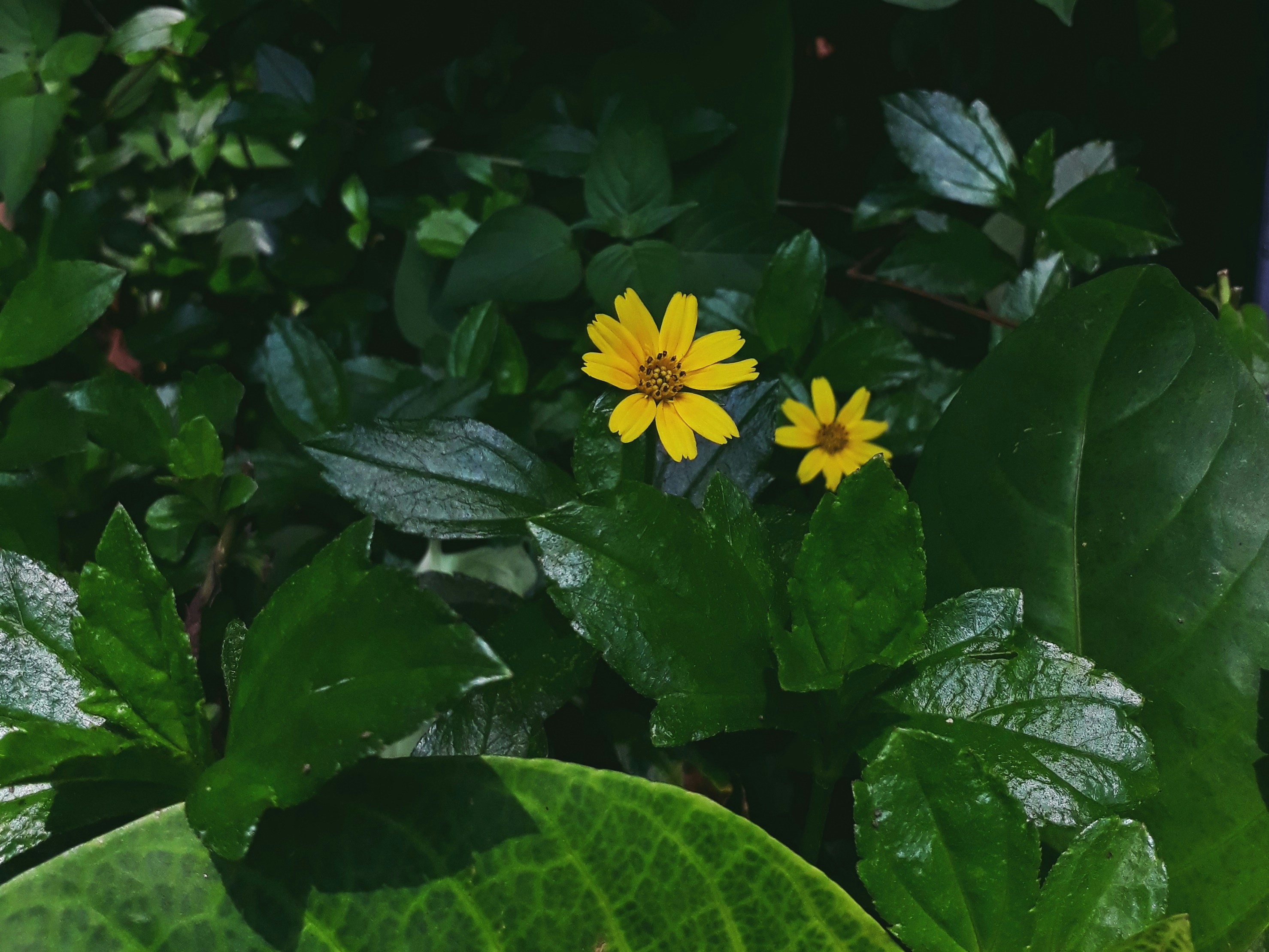 Photo by milaoktasafitri