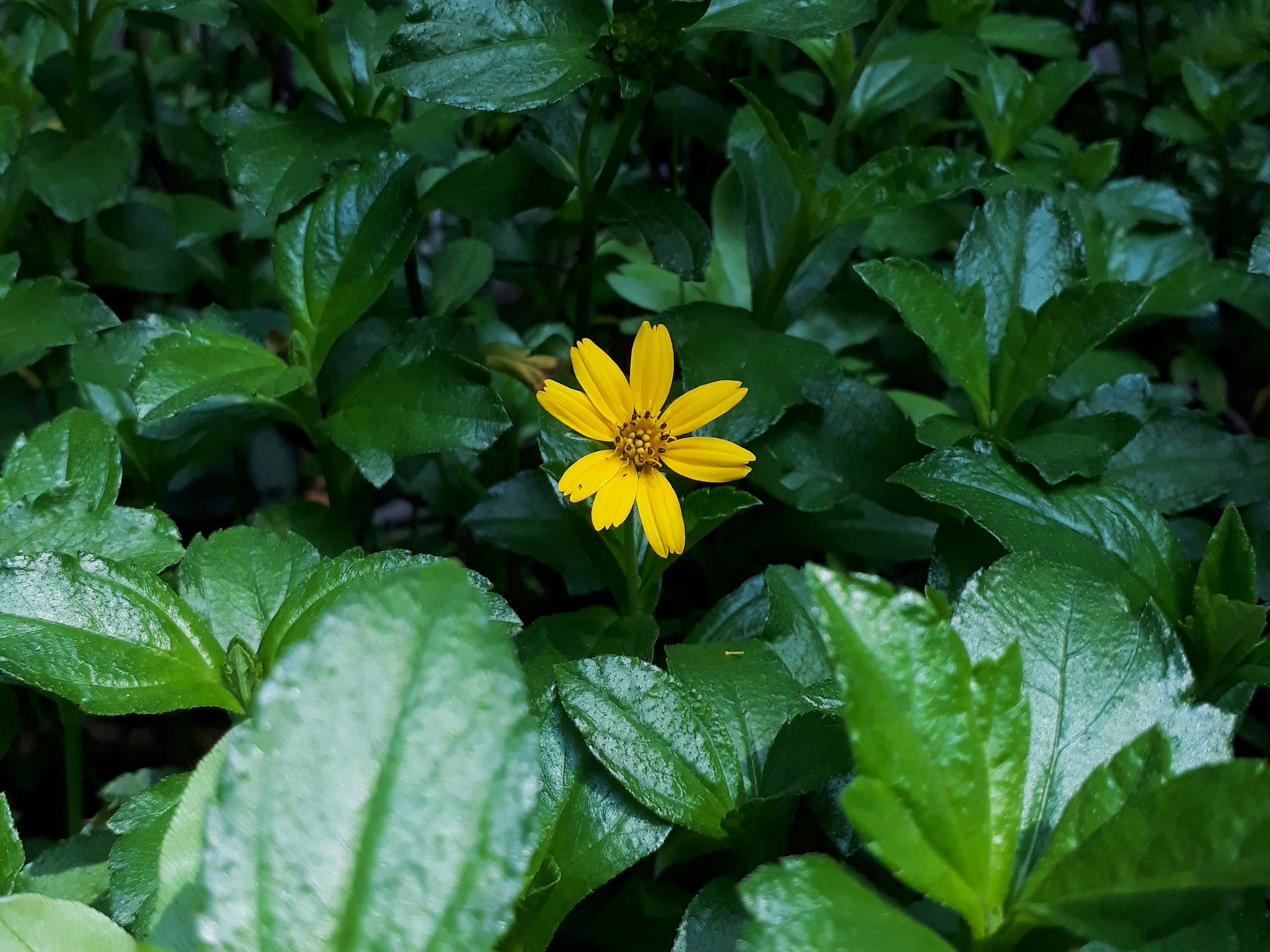 Photo by milaoktasafitri