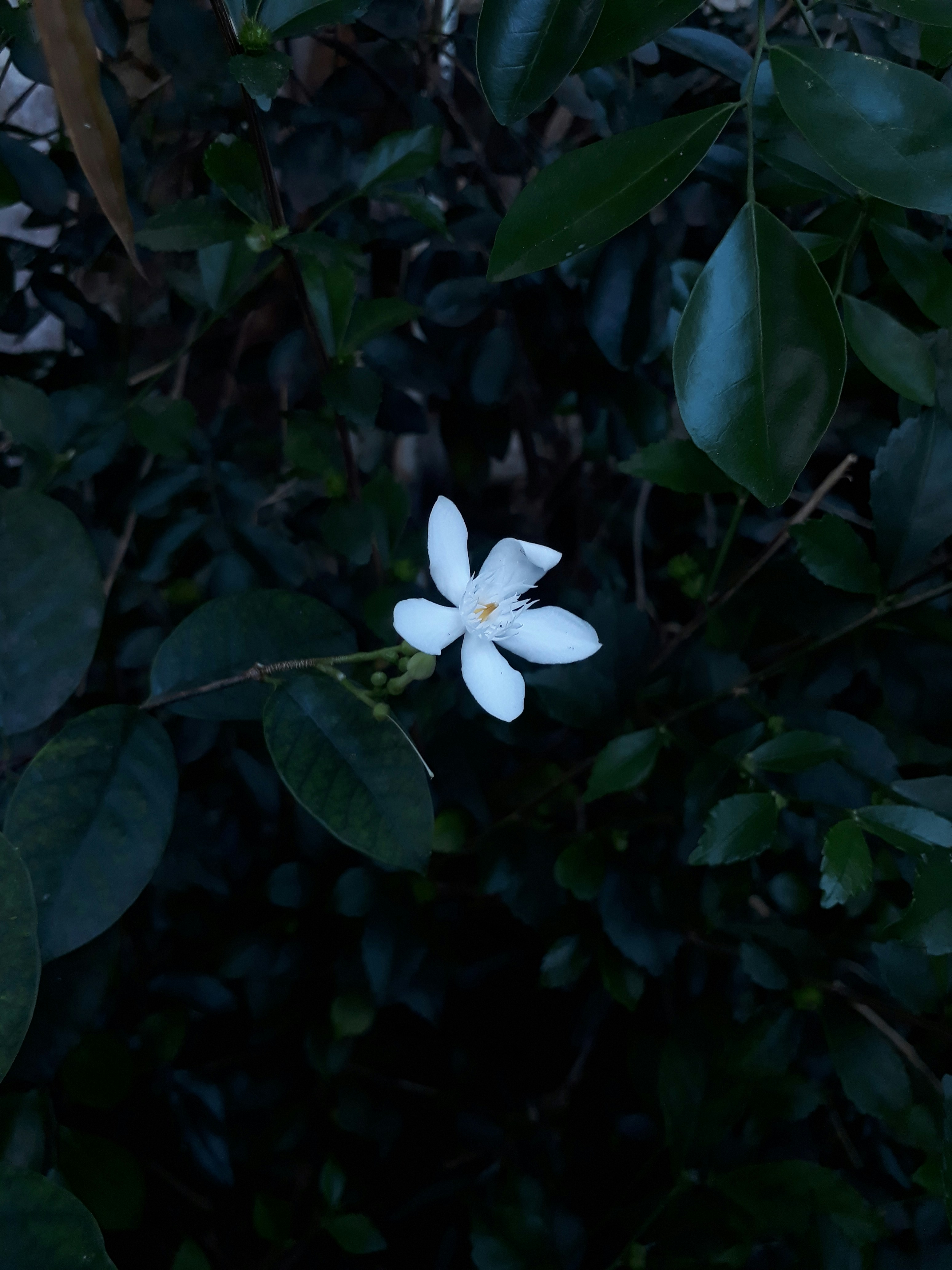 Photo by milaoktasafitri