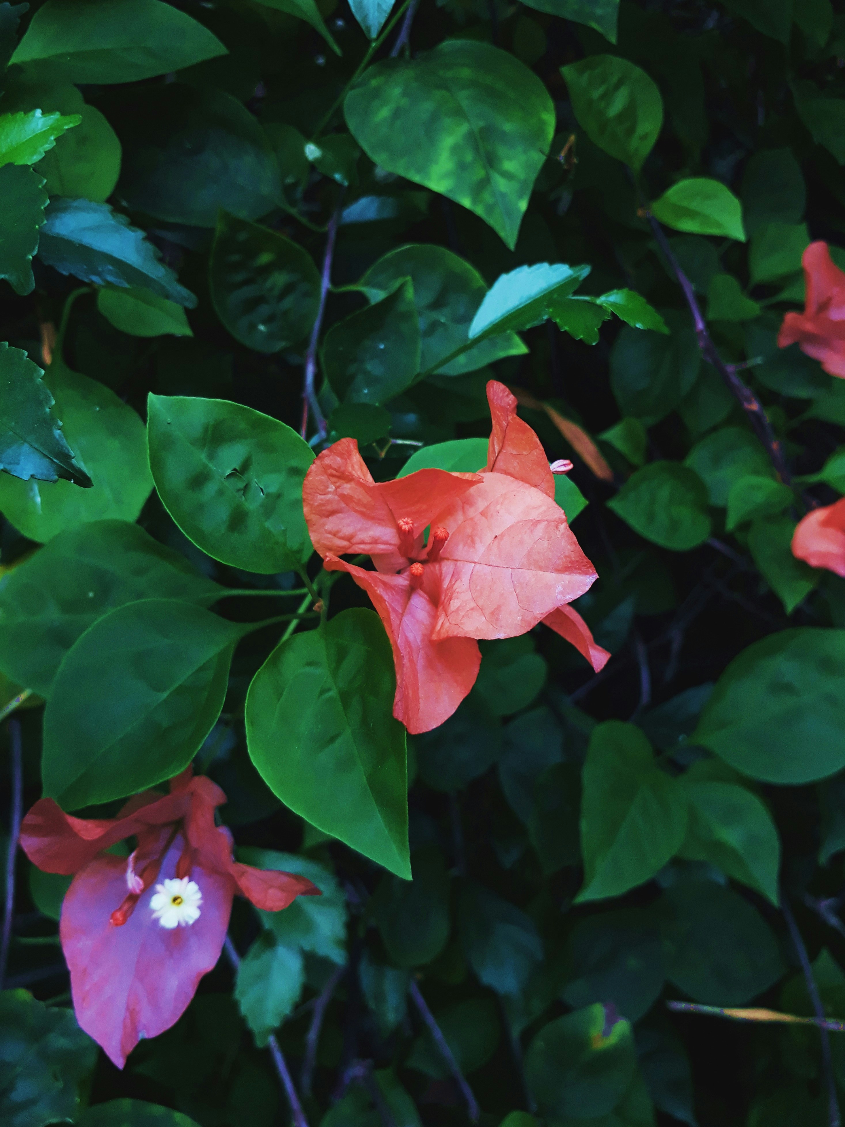 Photo by milaoktasafitri