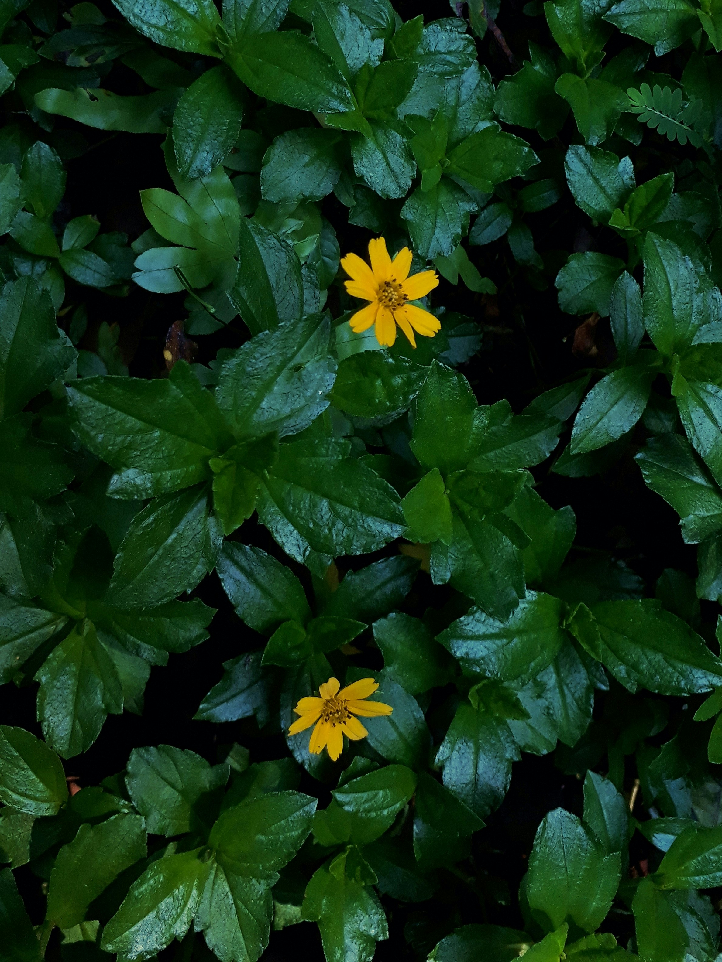 Photo by milaoktasafitri