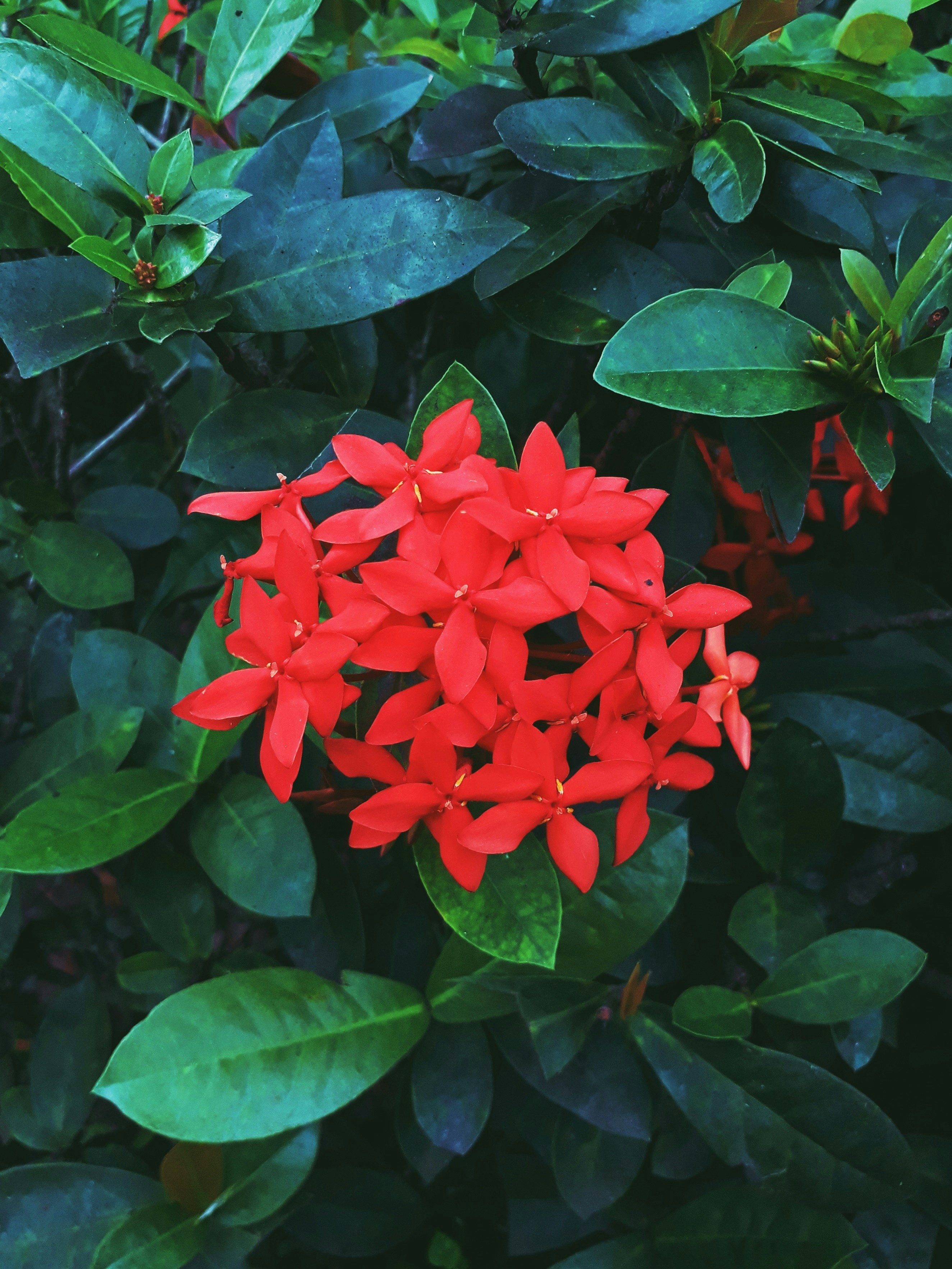 Photo by milaoktasafitri