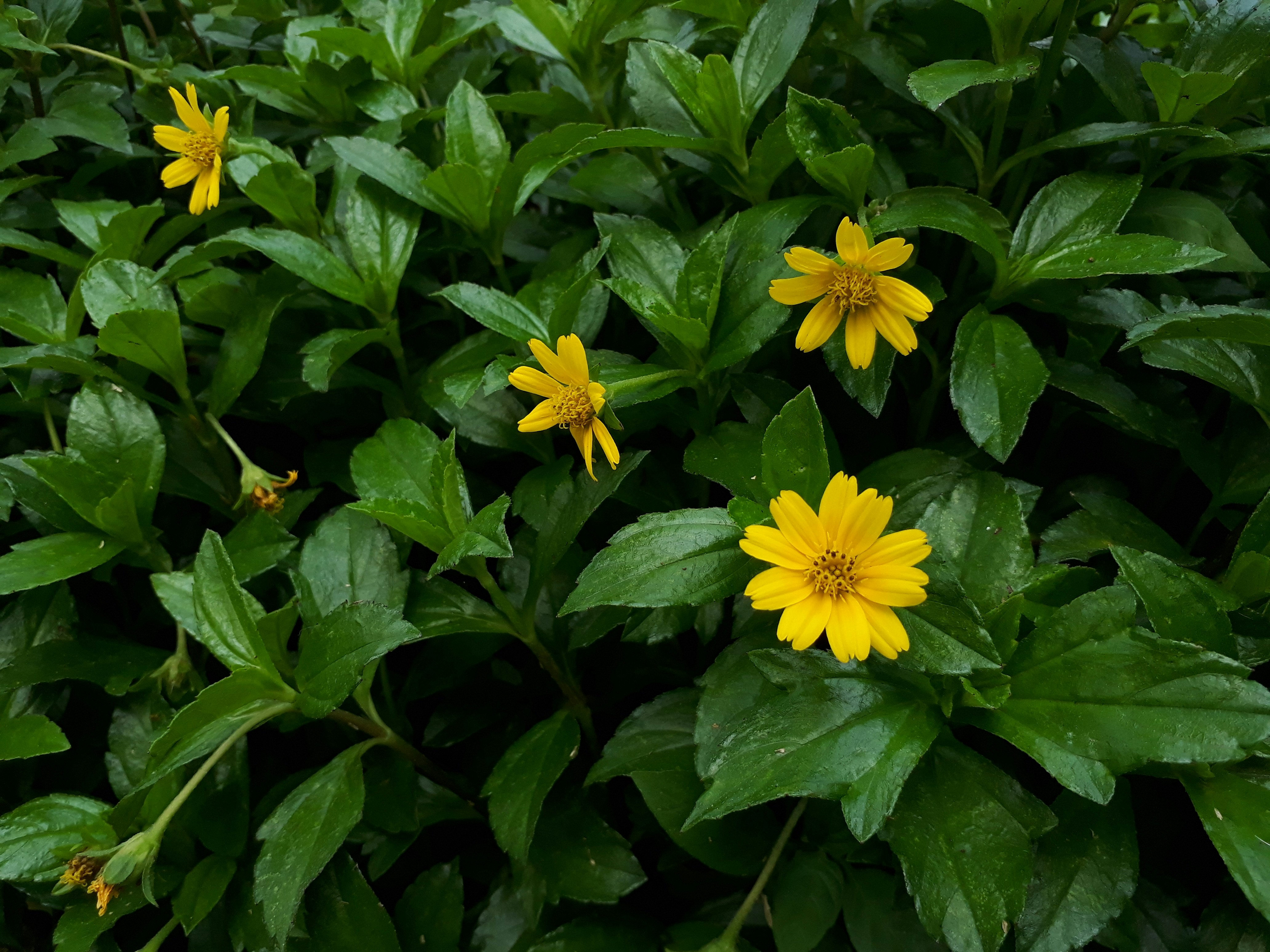 Photo by milaoktasafitri