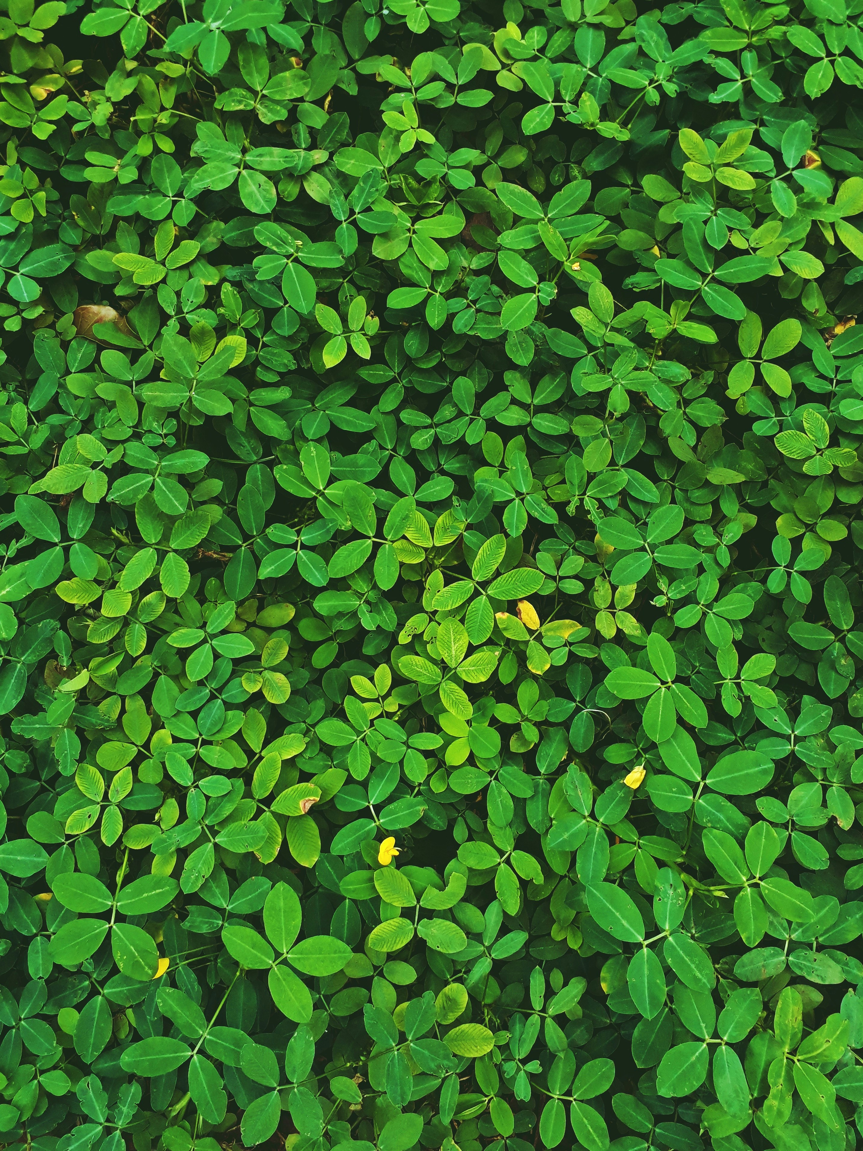 Photo by milaoktasafitri