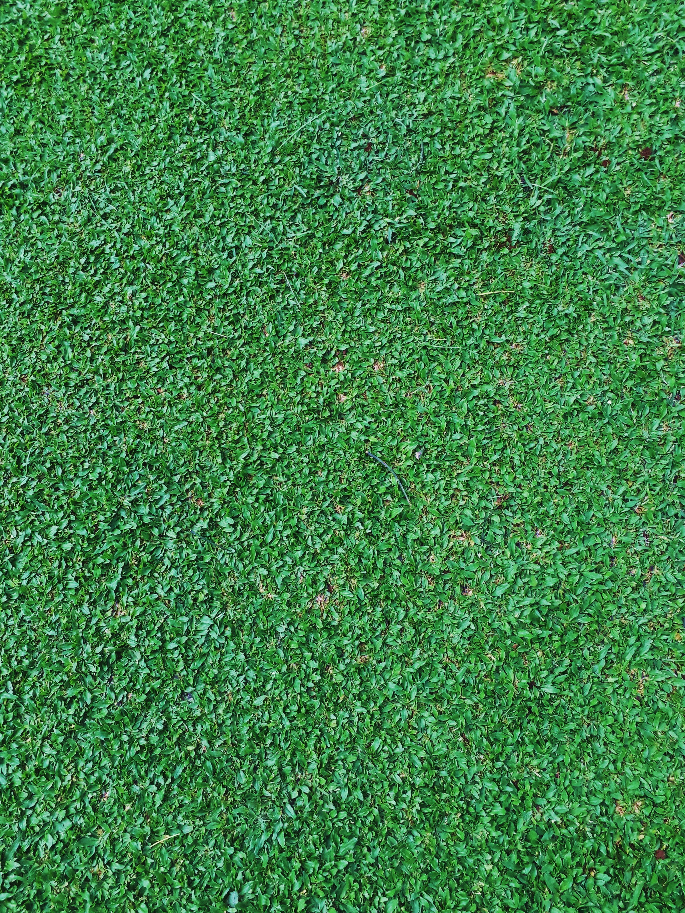 Photo by milaoktasafitri