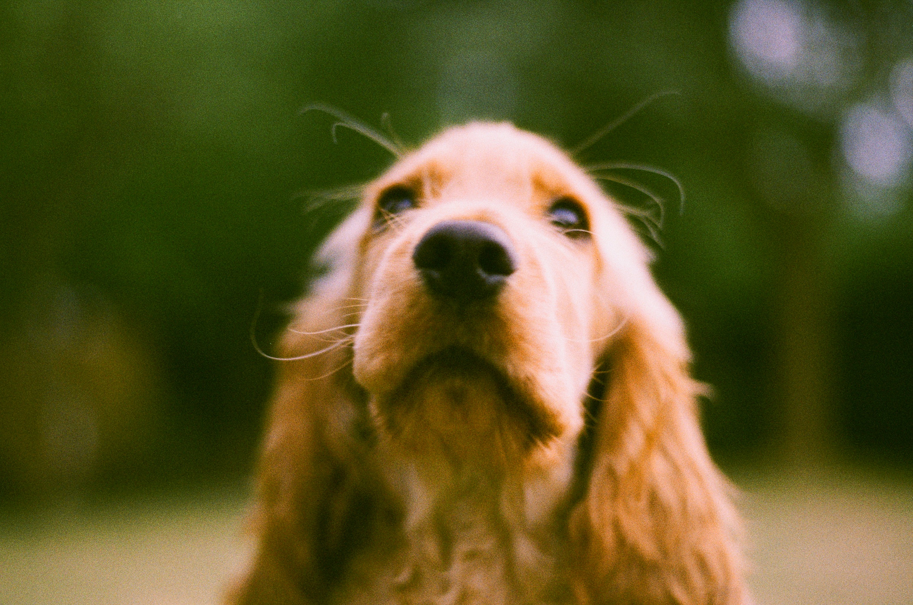 Photo by tanyabarrow