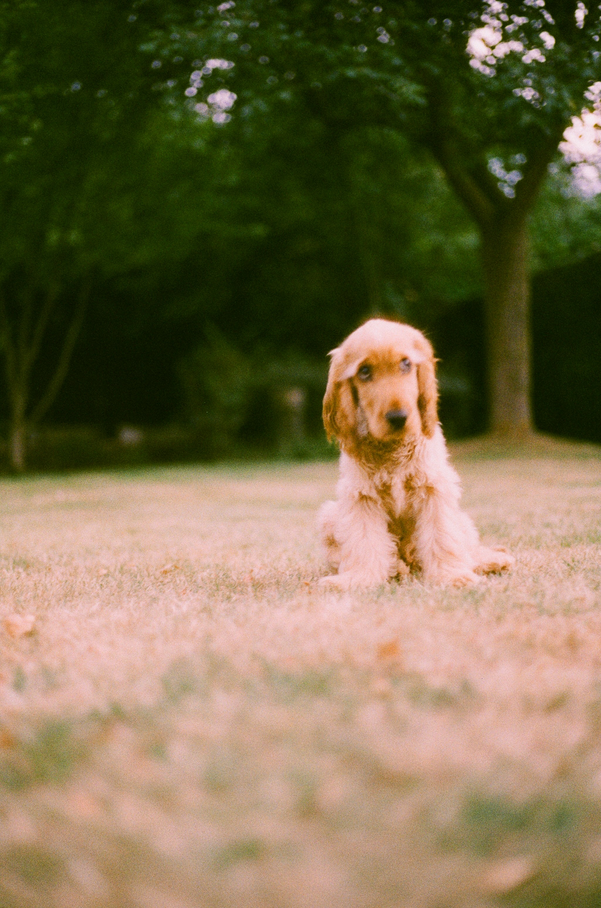 Photo by tanyabarrow