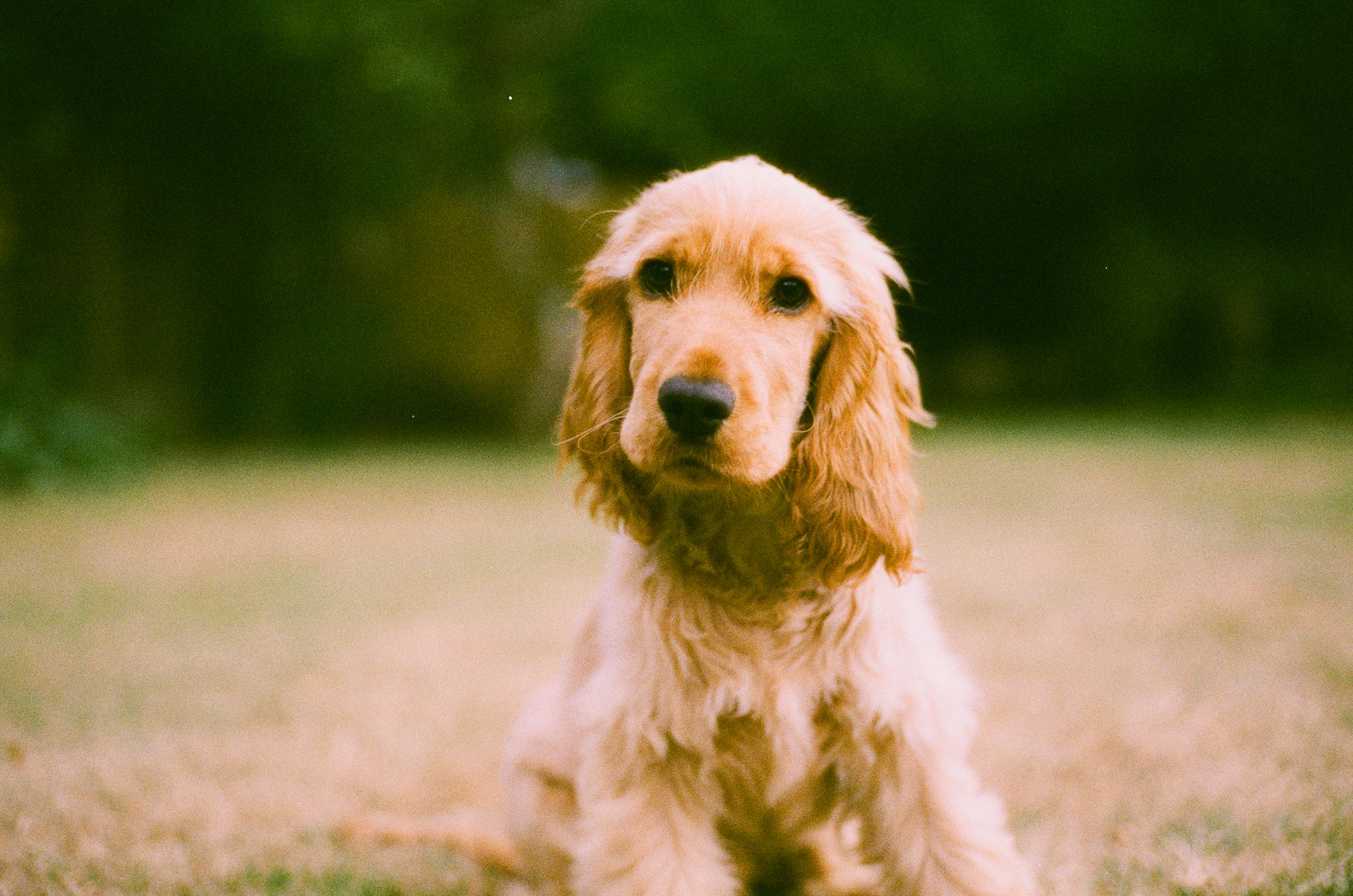 Photo by tanyabarrow