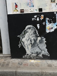 Graffiti of an owl on a black wall