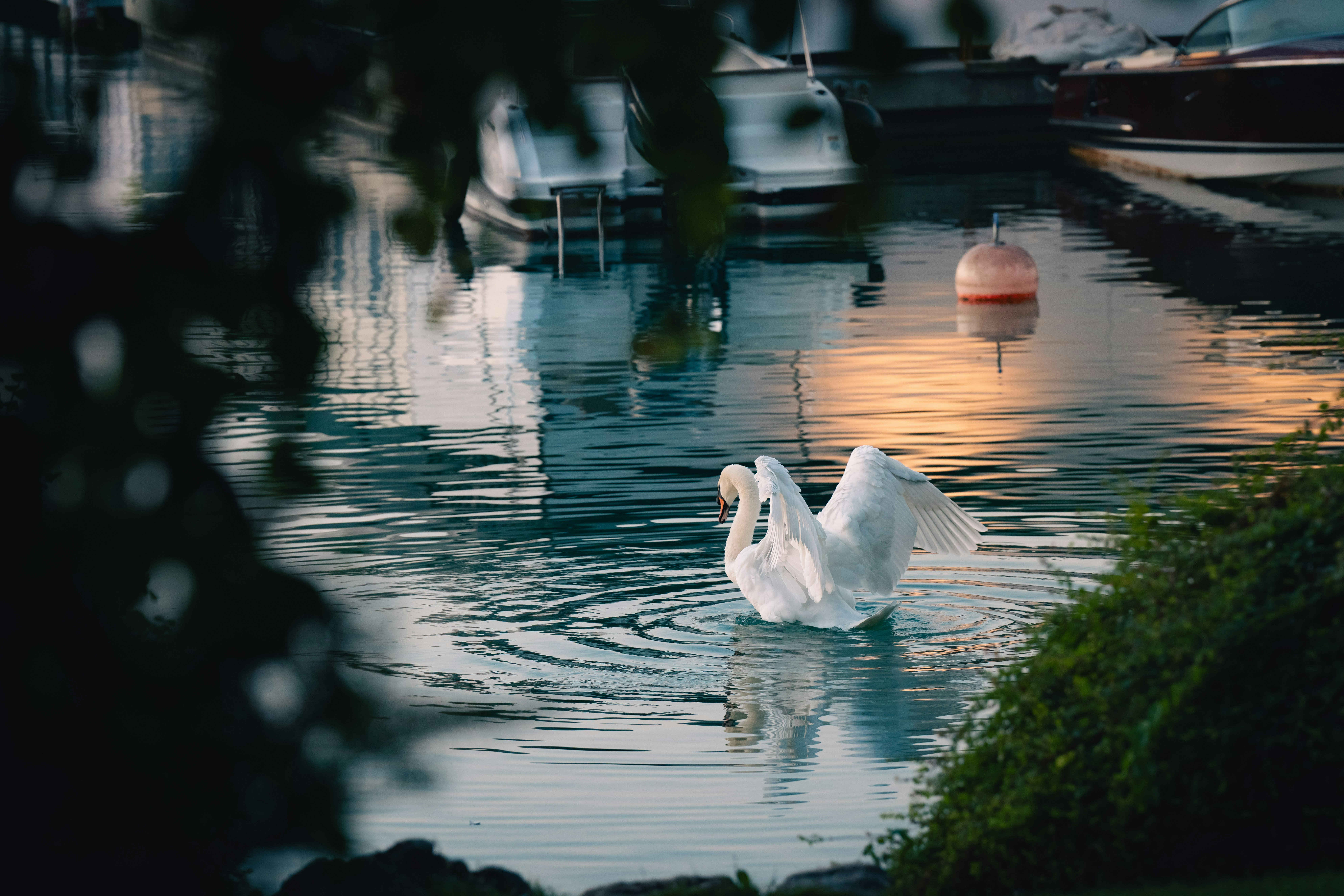 Photo by opohmelka