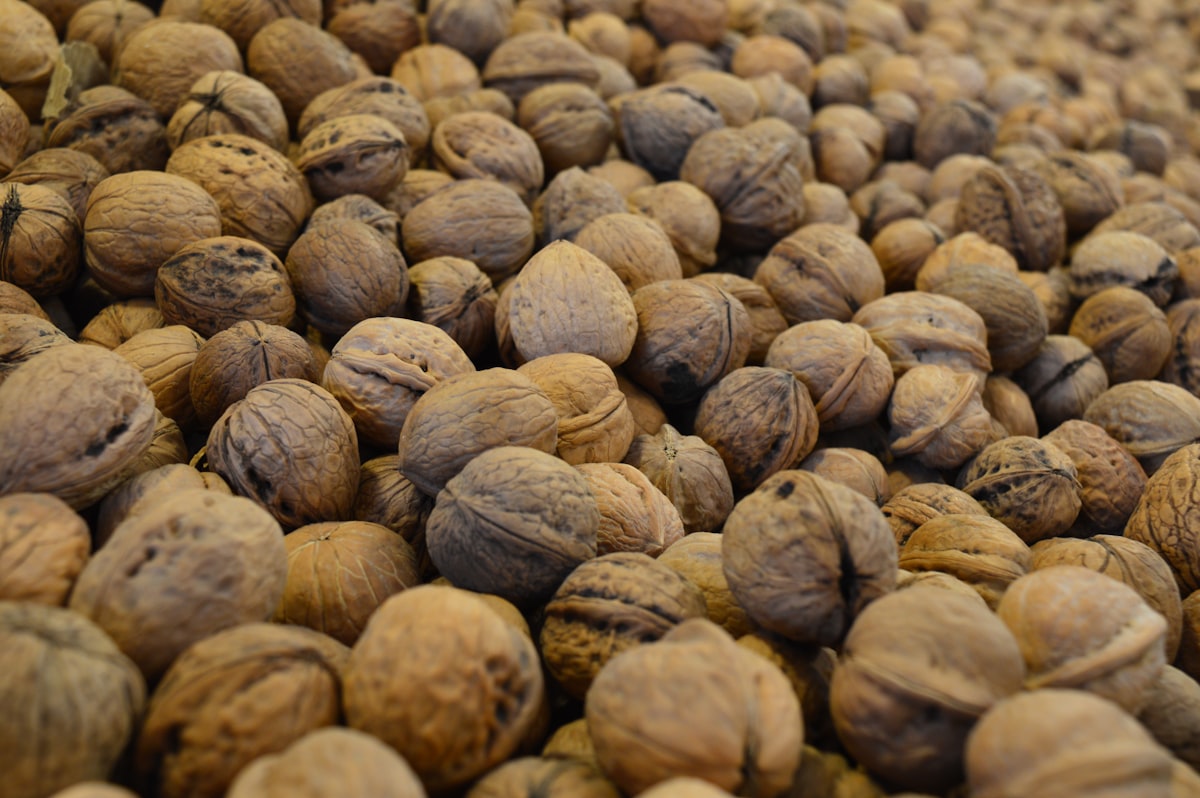 Nueces Pecan - San Juan