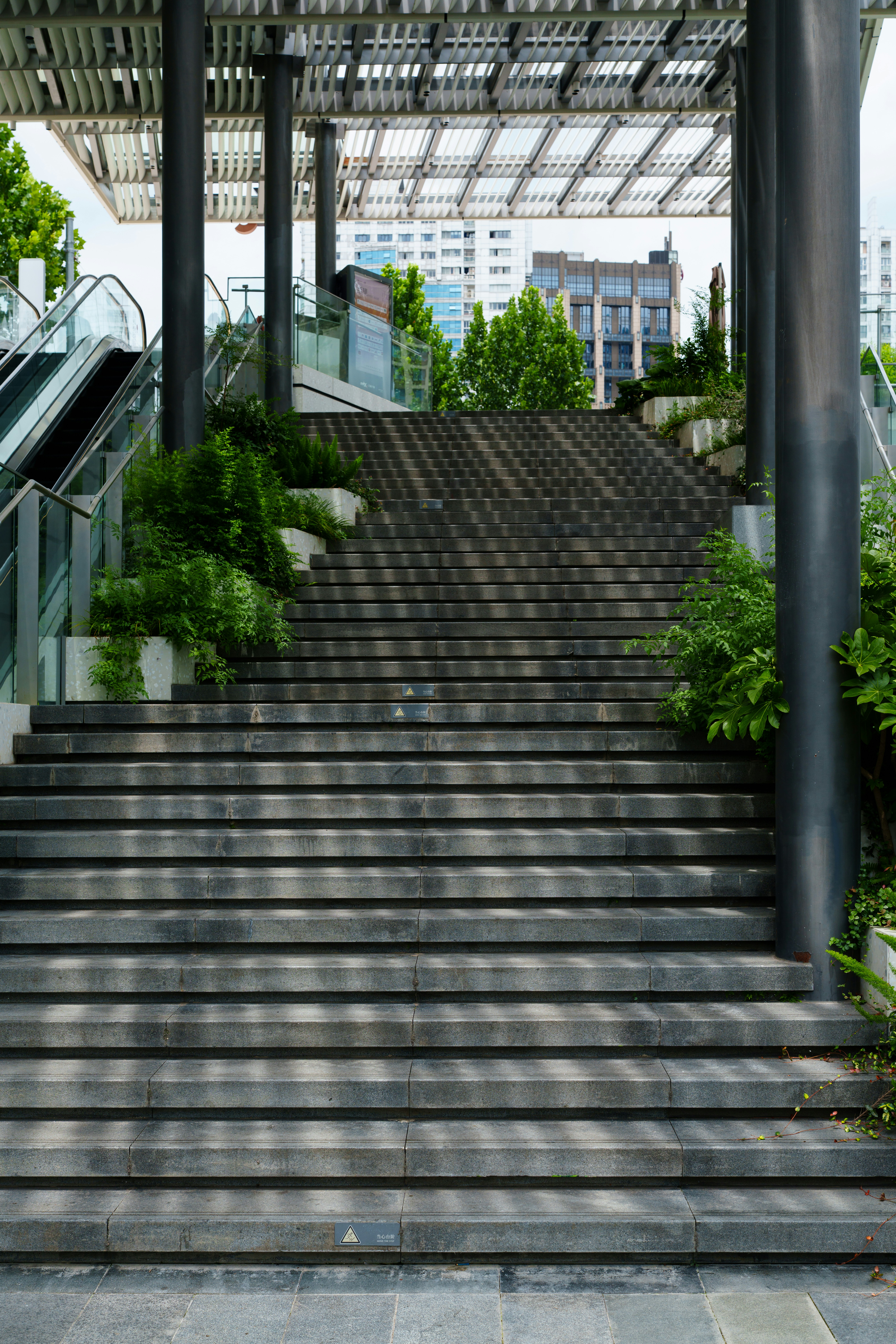 Outdoor stairs leading up to a modern building entrance.