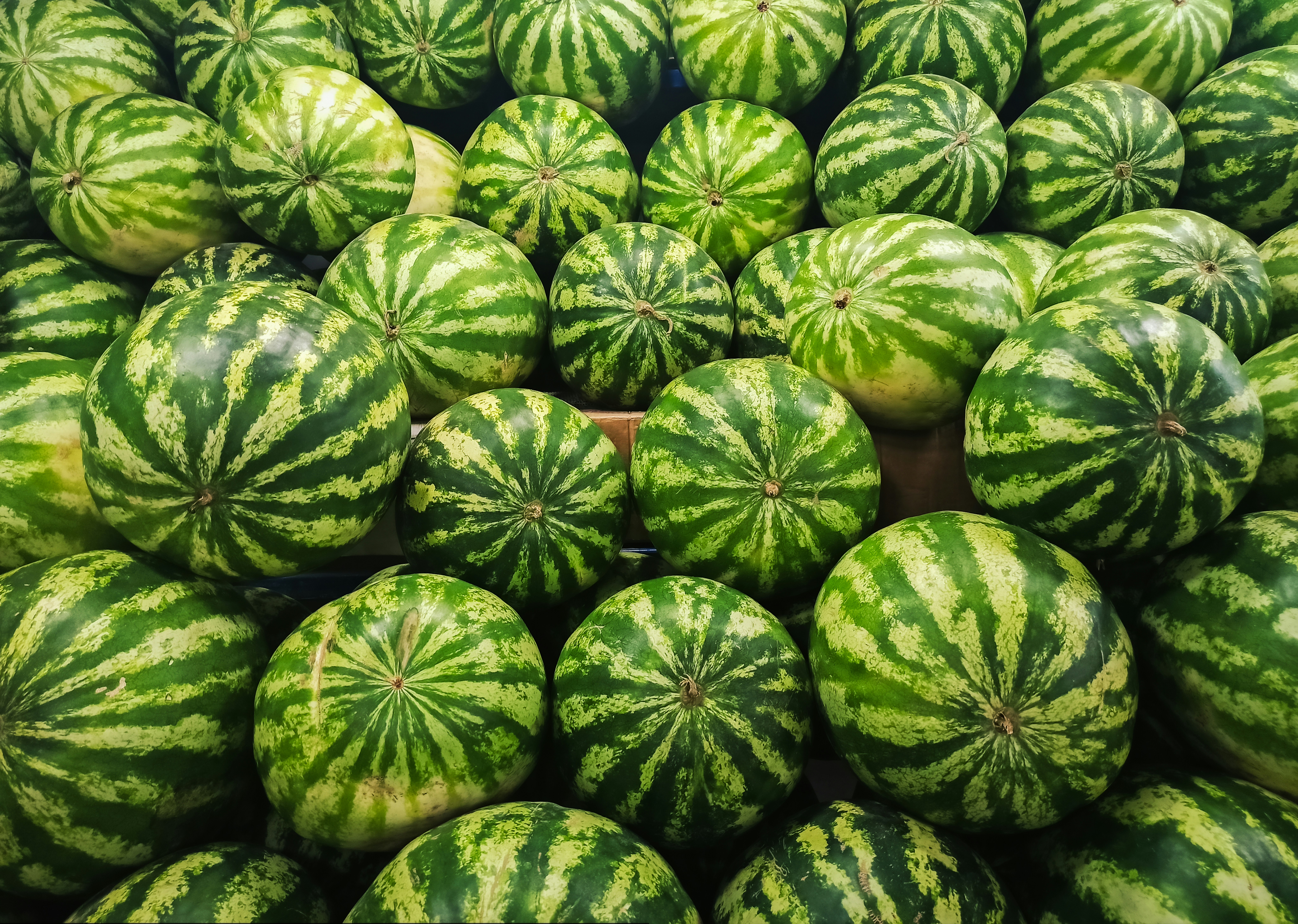 A pile of ripe watermelons with green stripes