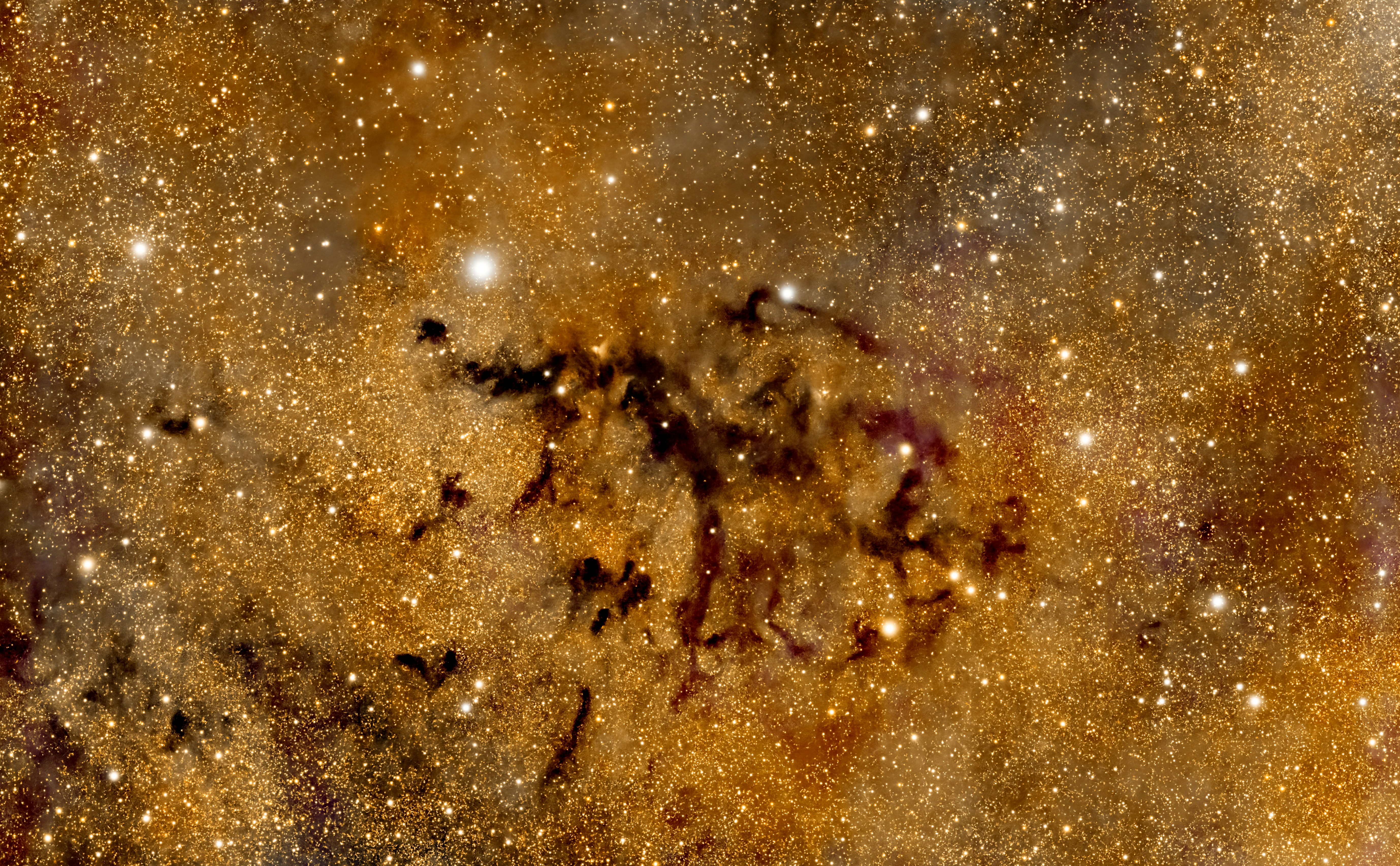 Organizing A Holy Bible Study Group Asks For Thoughtful Prep Work And Adequate Sources; Find The Vital Ideas To Assist Your Group Grow