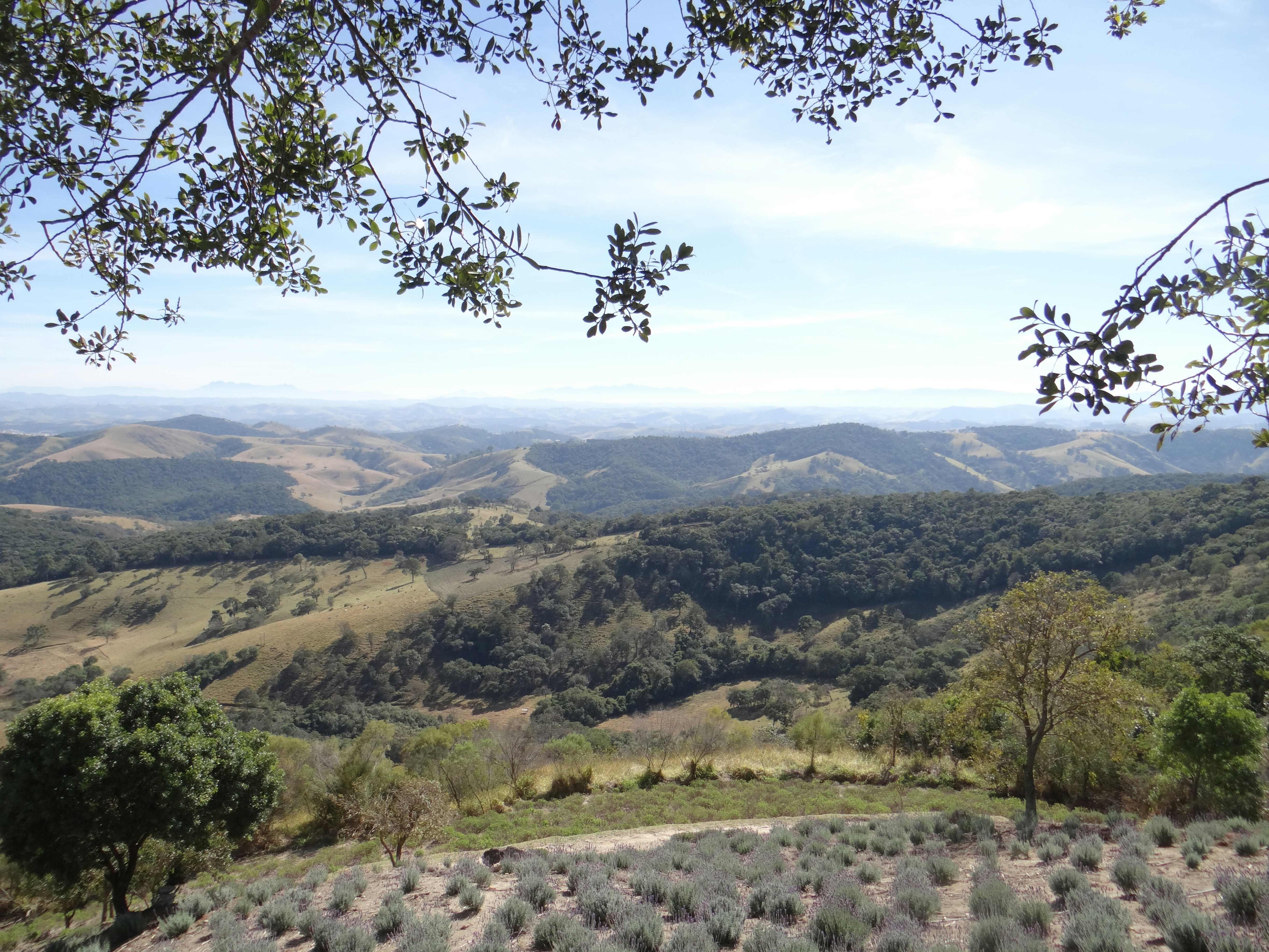 Photo by macornelsen