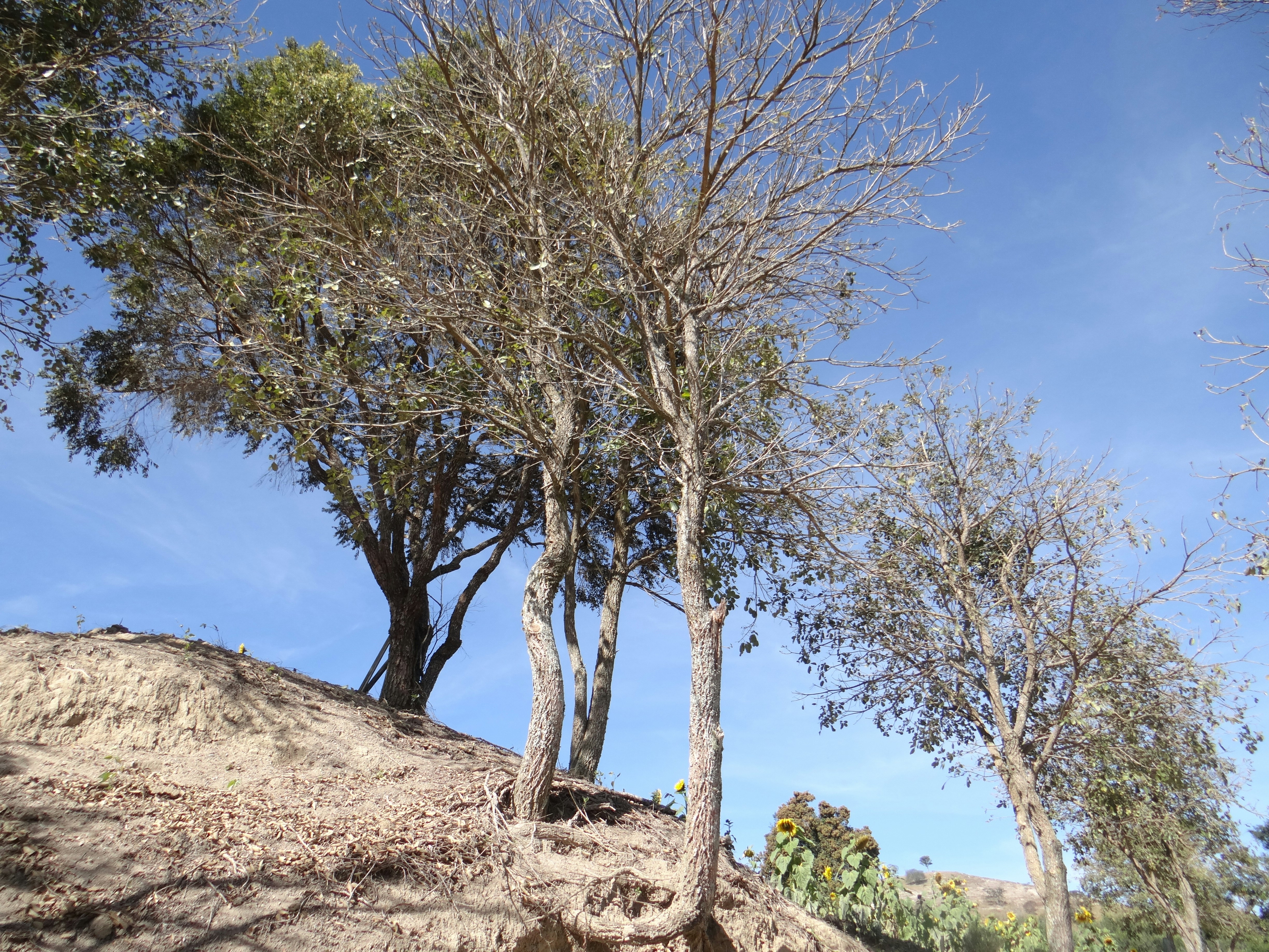 Photo by macornelsen