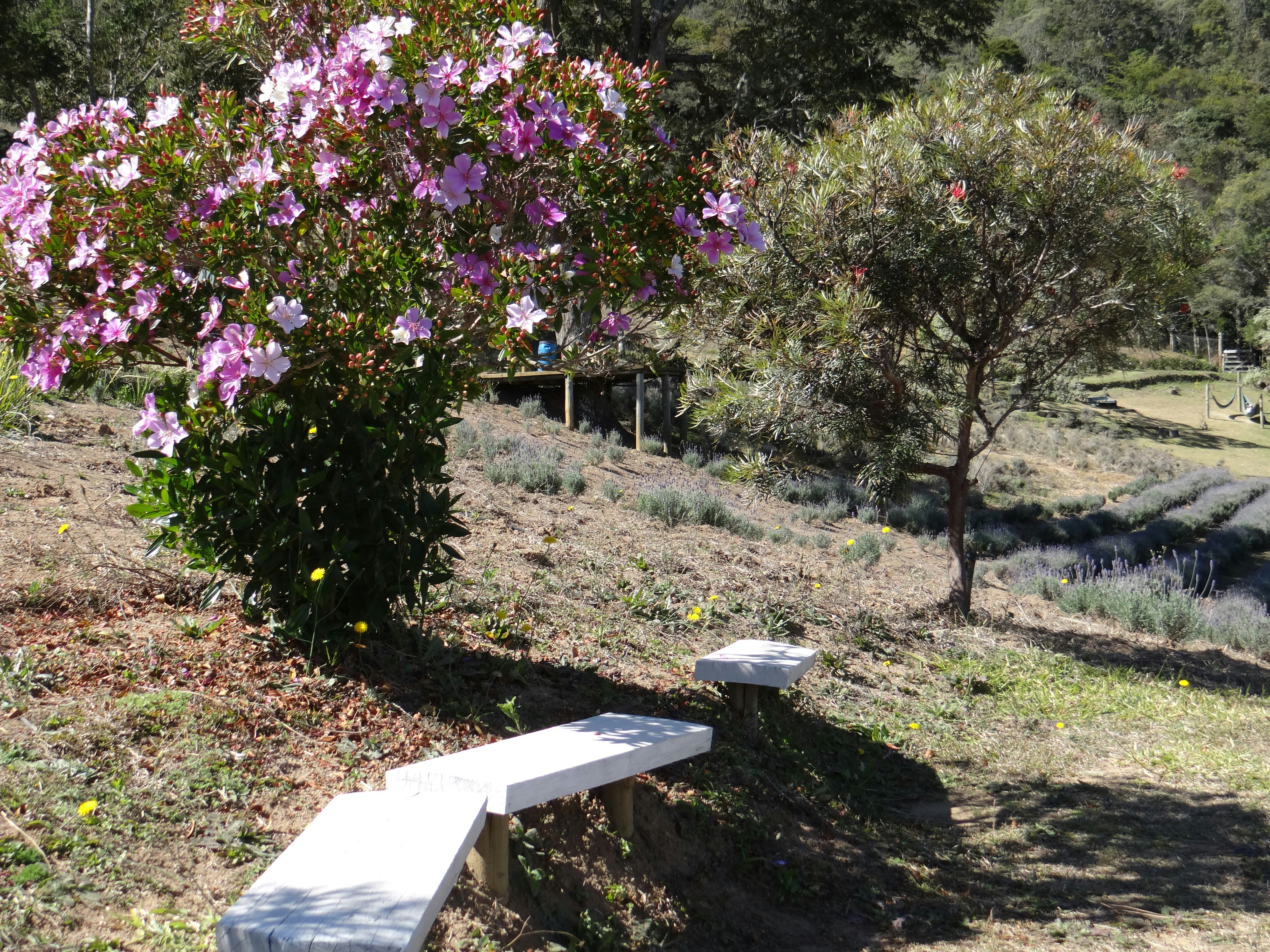 Photo by macornelsen