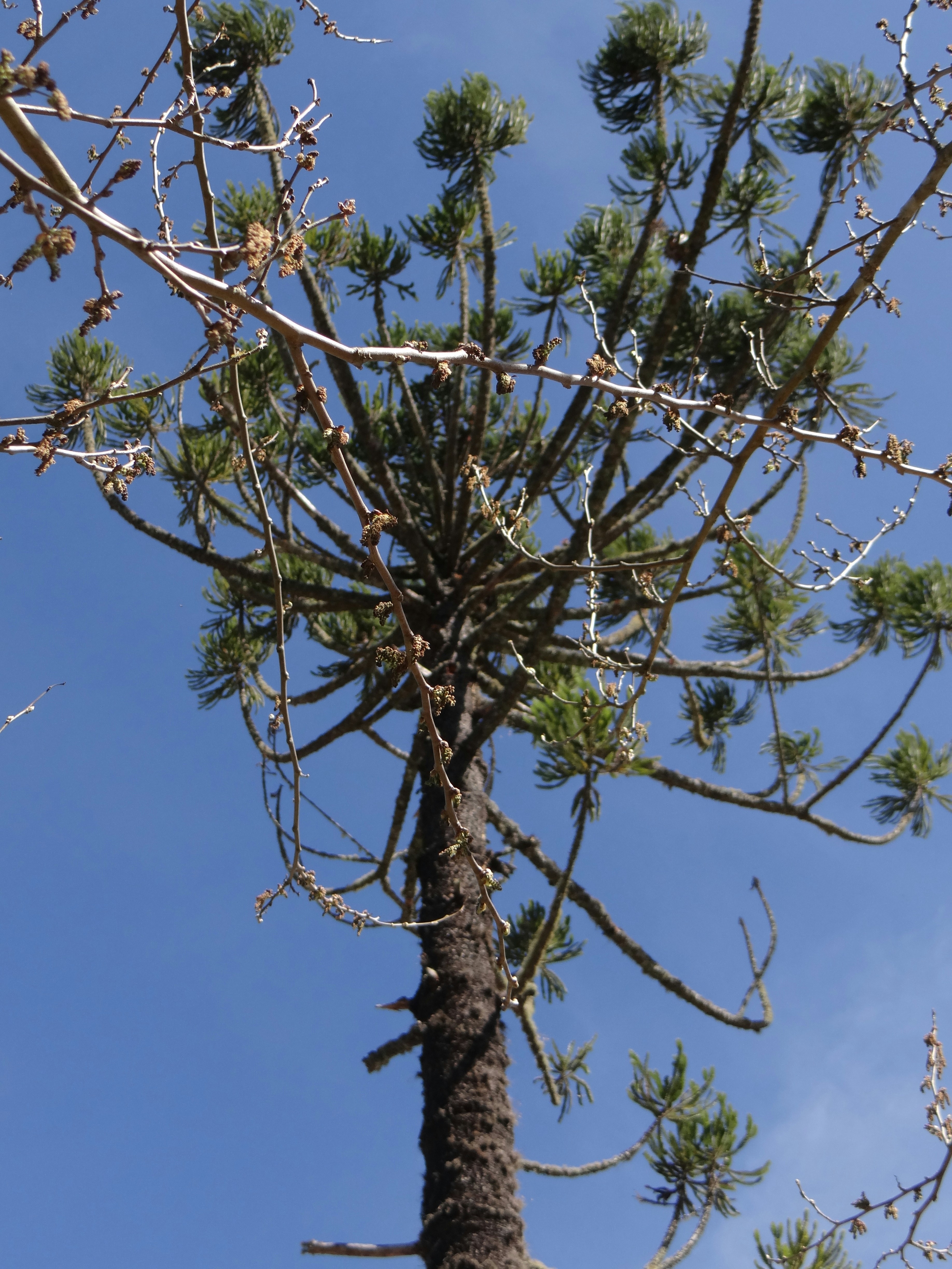 Photo by macornelsen