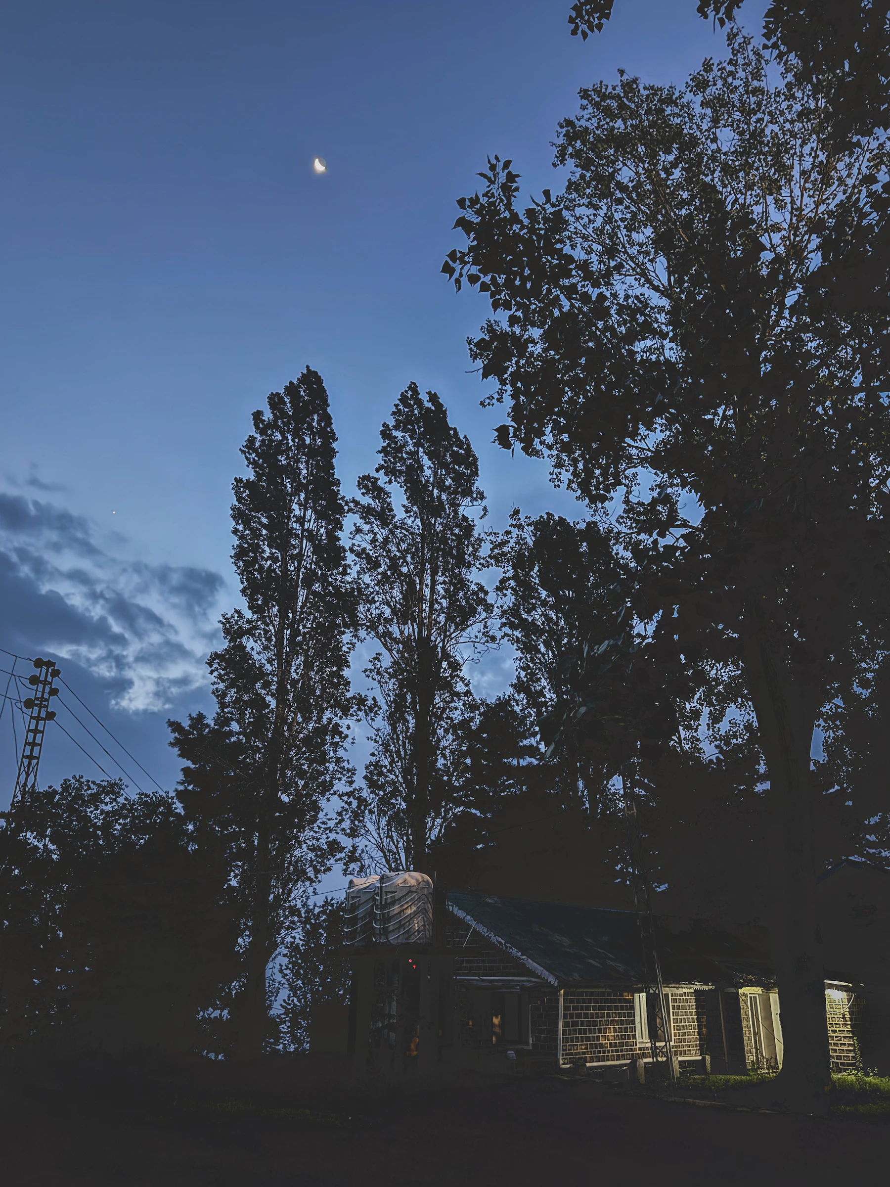 A home in the company of mature trees