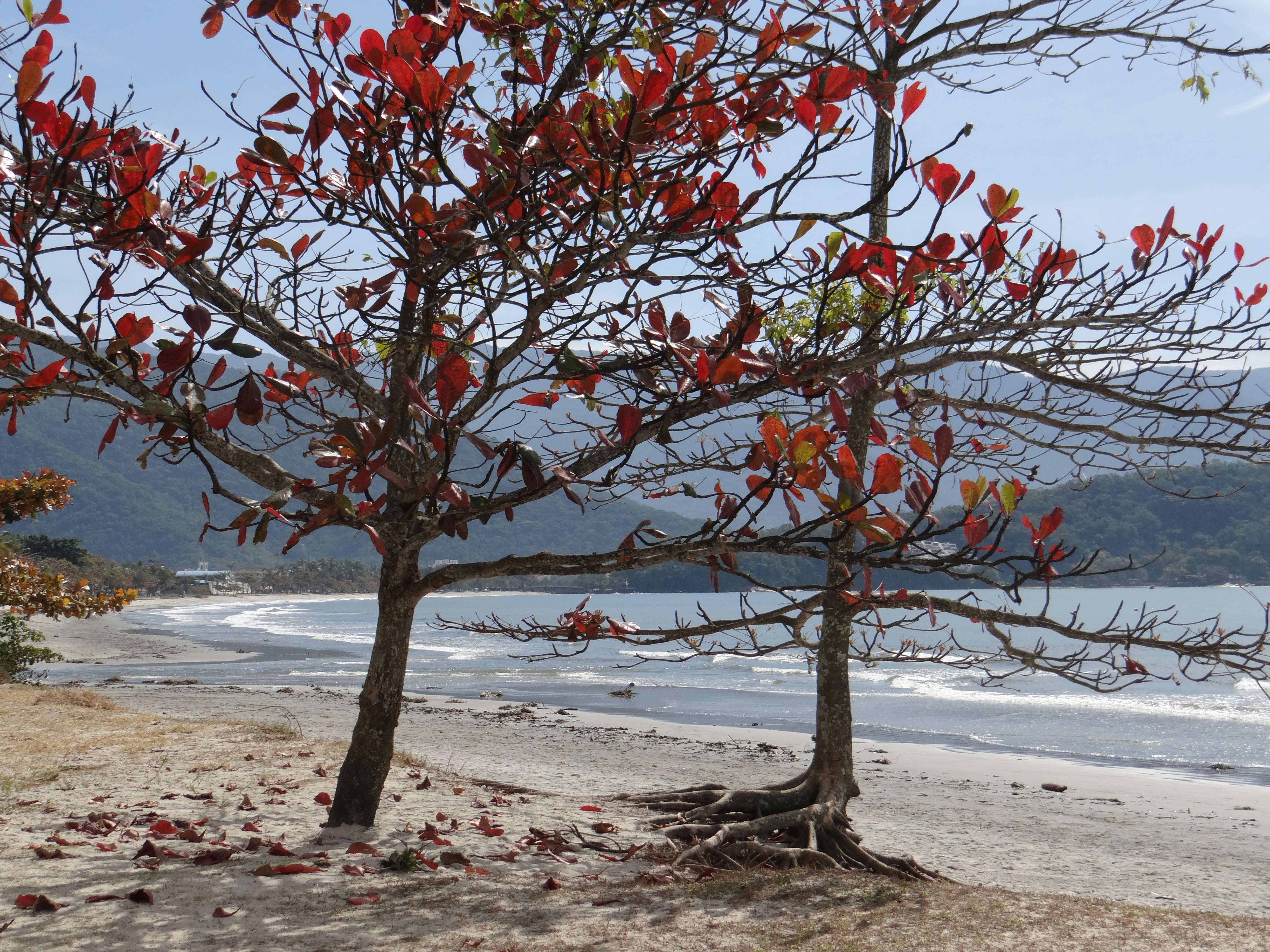 Photo by macornelsen