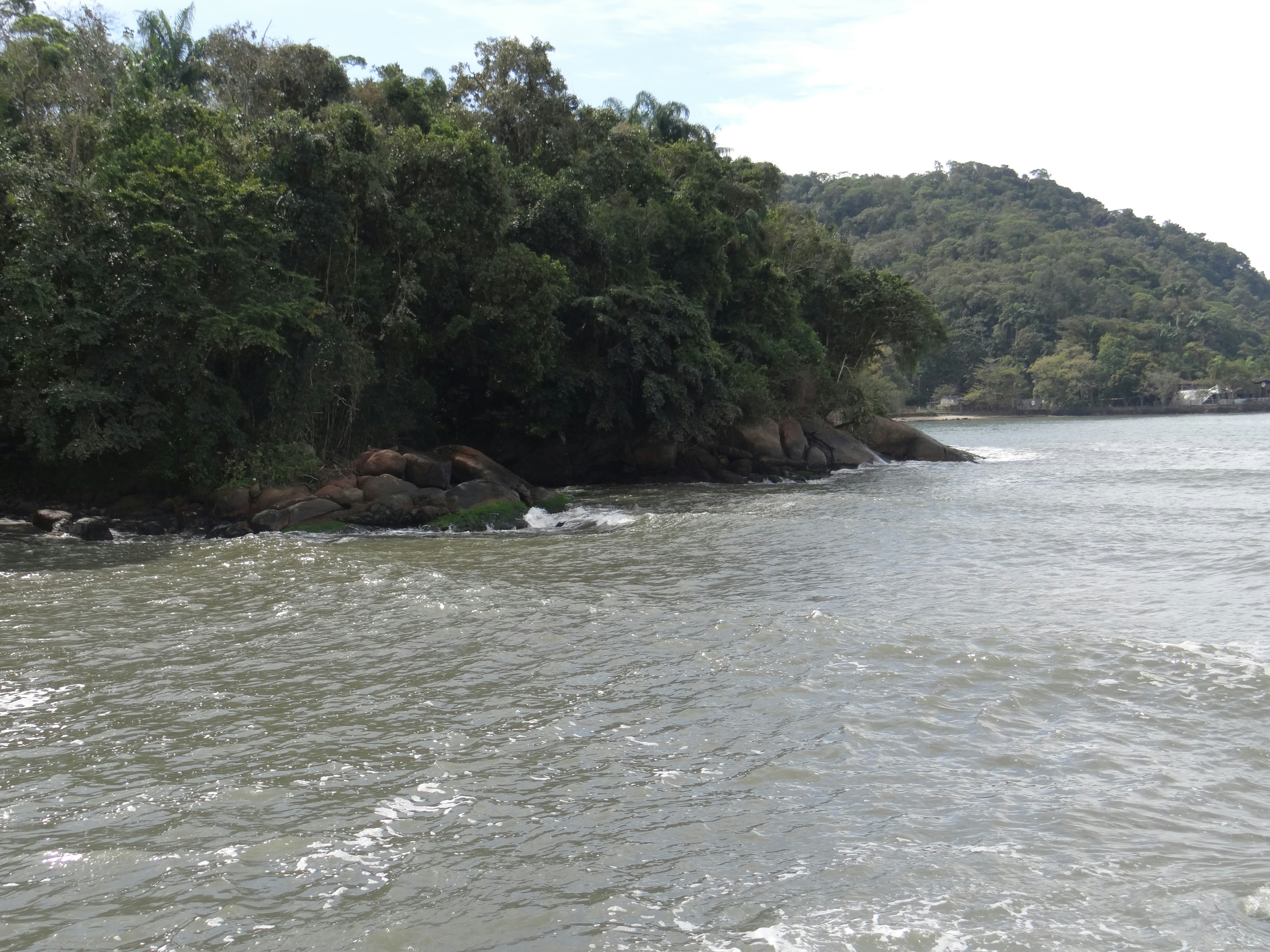 Water flowing by a forested coastline under an overcast sky
