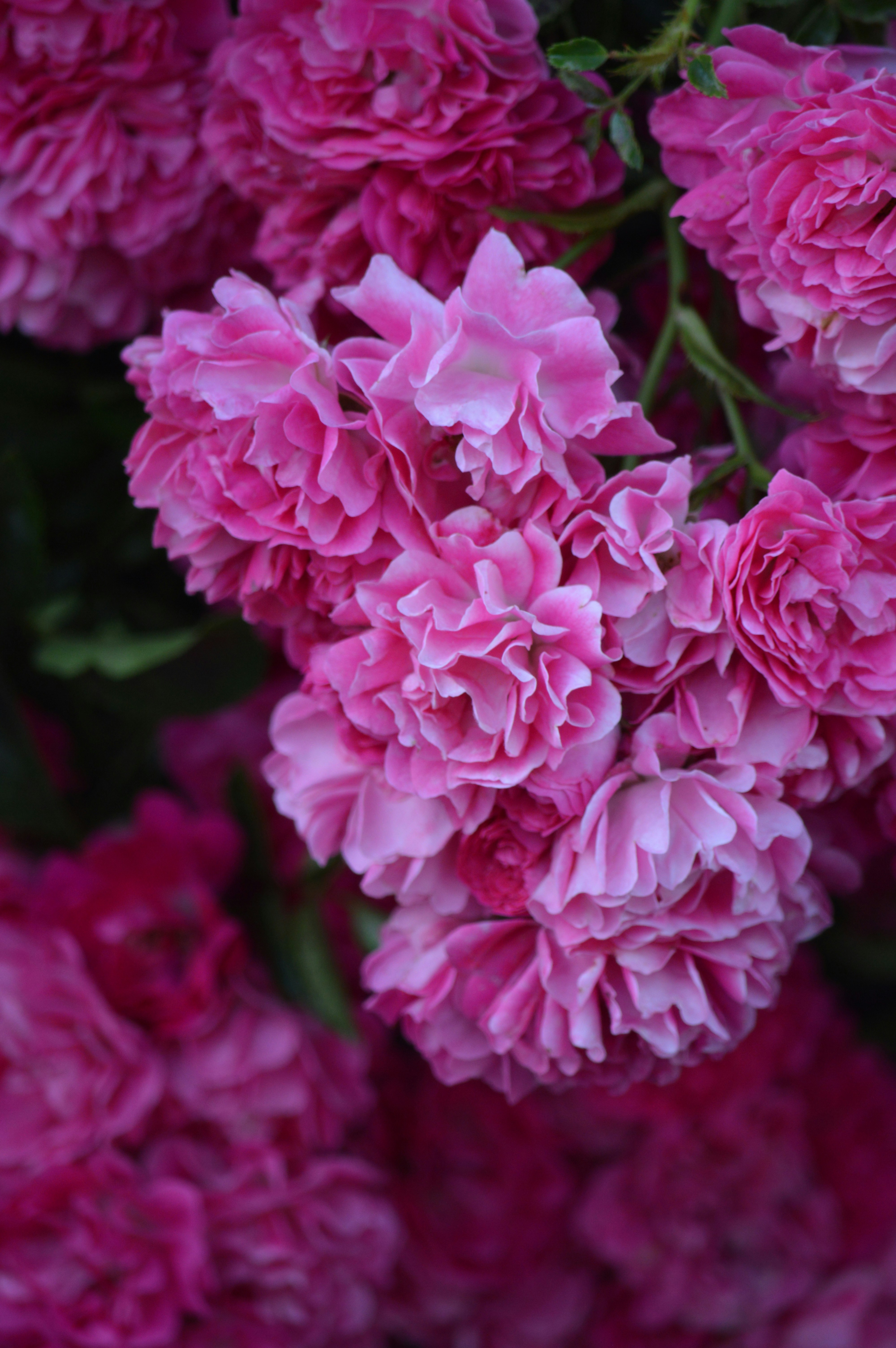 Photo by jennifer_maier_art