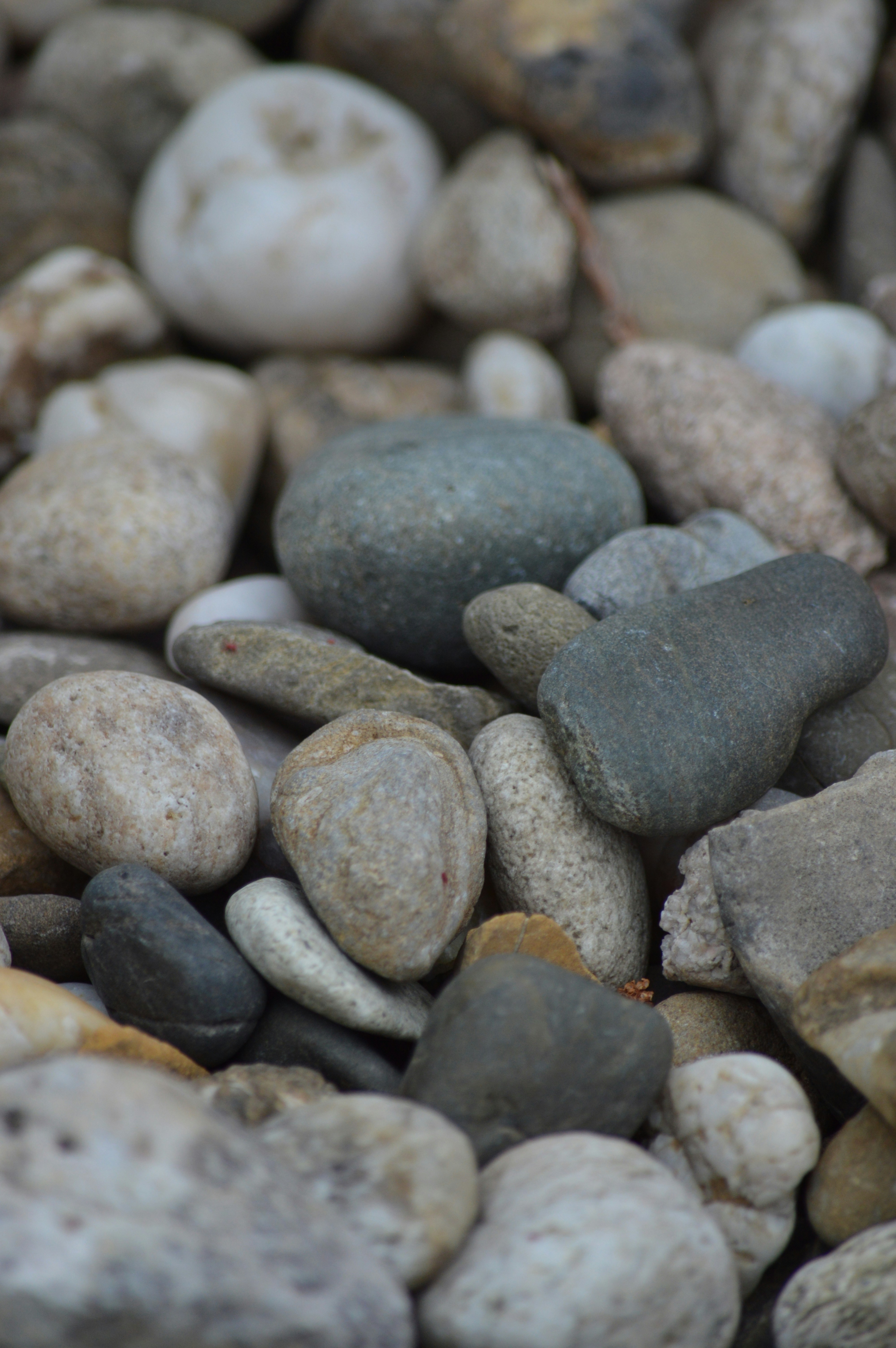 Photo by jennifer_maier_art