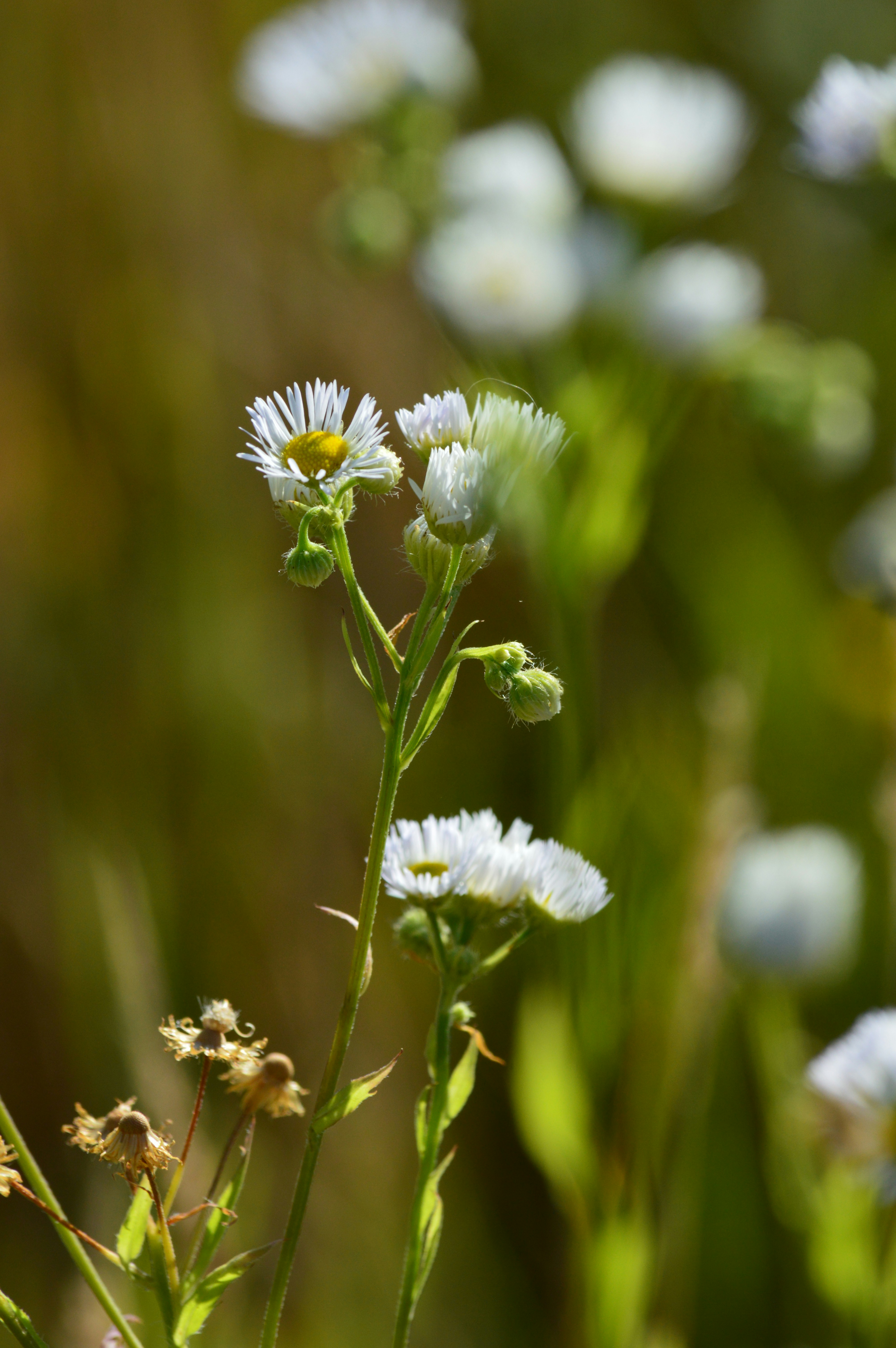 Photo by jennifer_maier_art