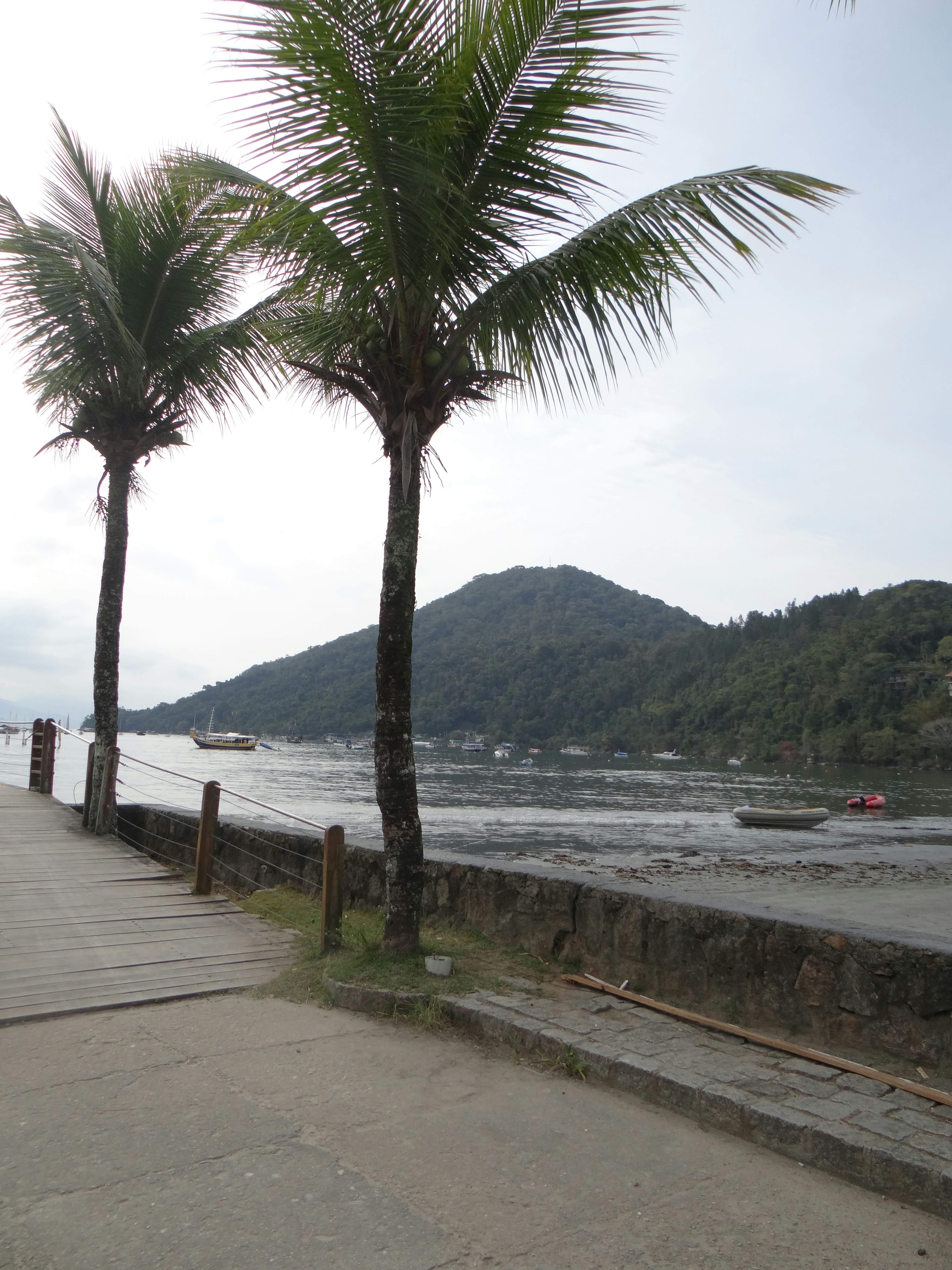 Palm trees line a coastal path with a mountain view.