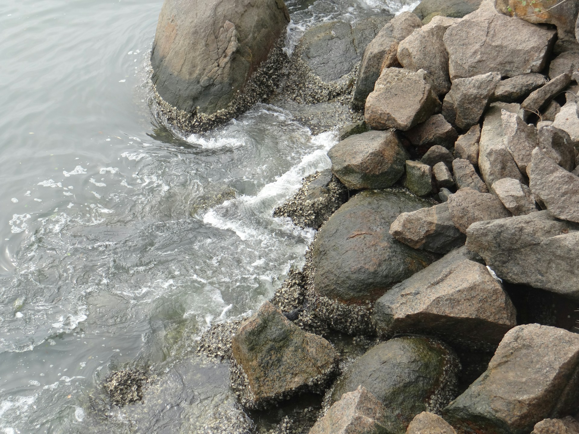 Waves crashing on a rocky shore