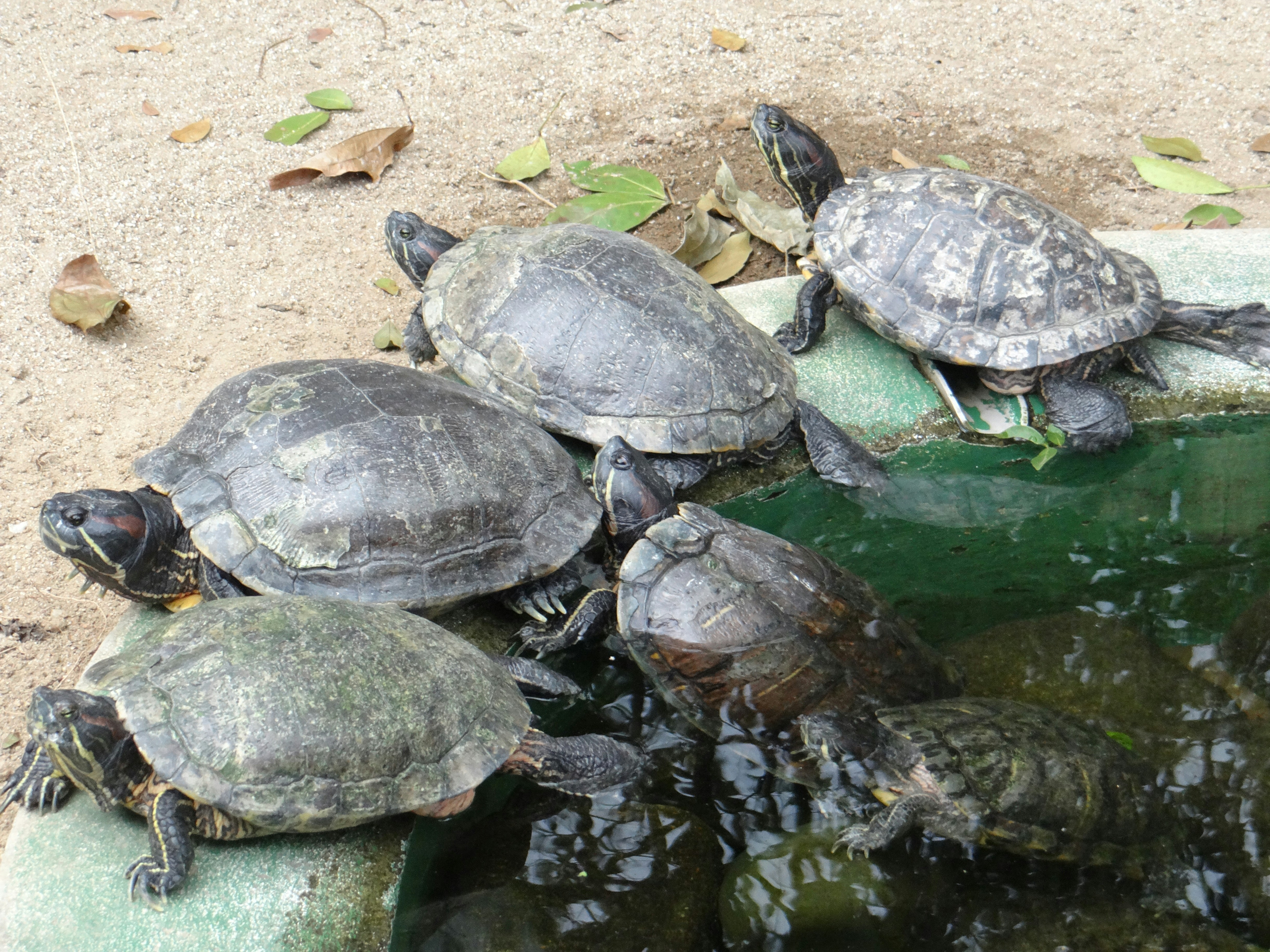 Photo by macornelsen