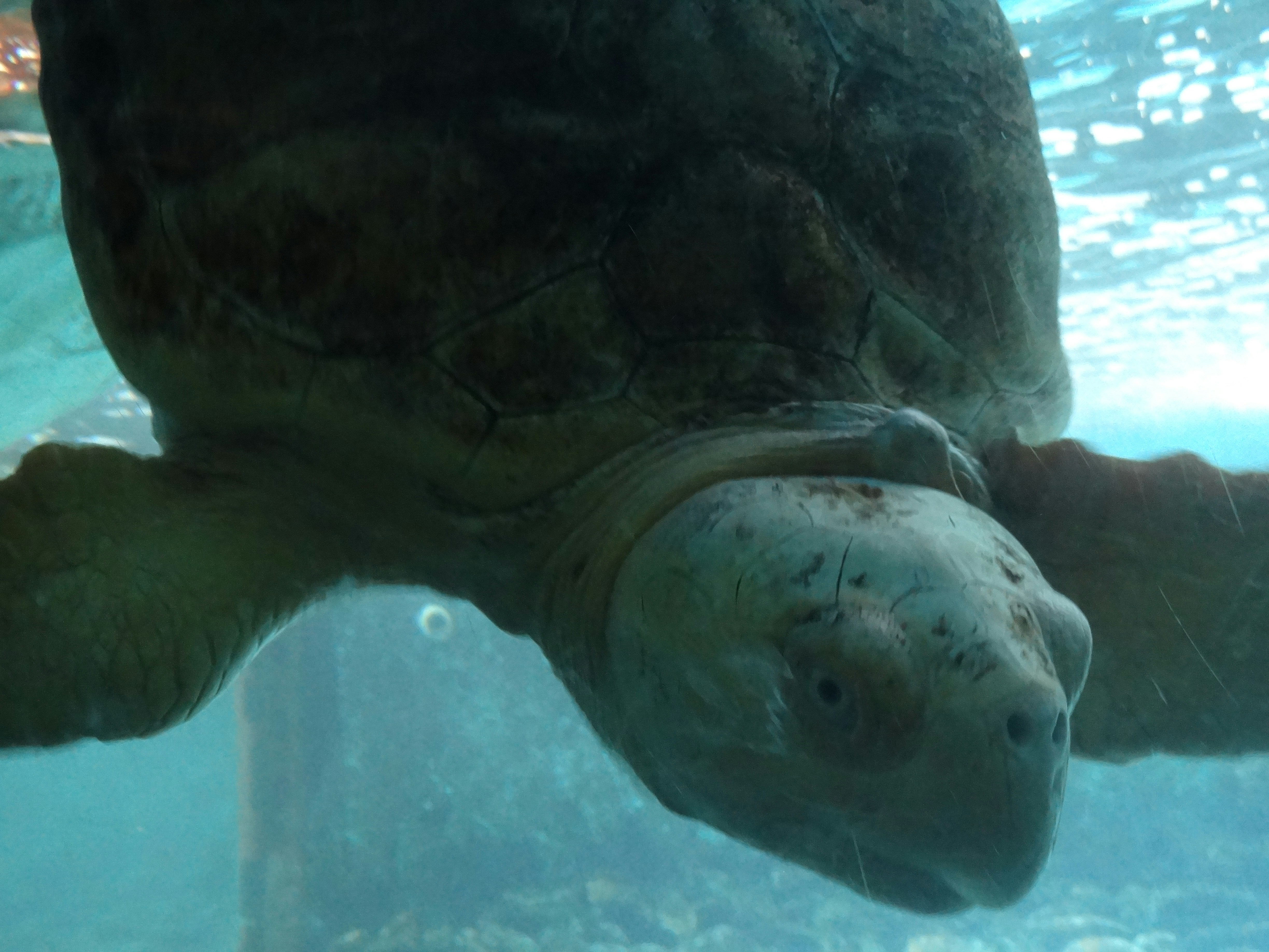 Photo by macornelsen