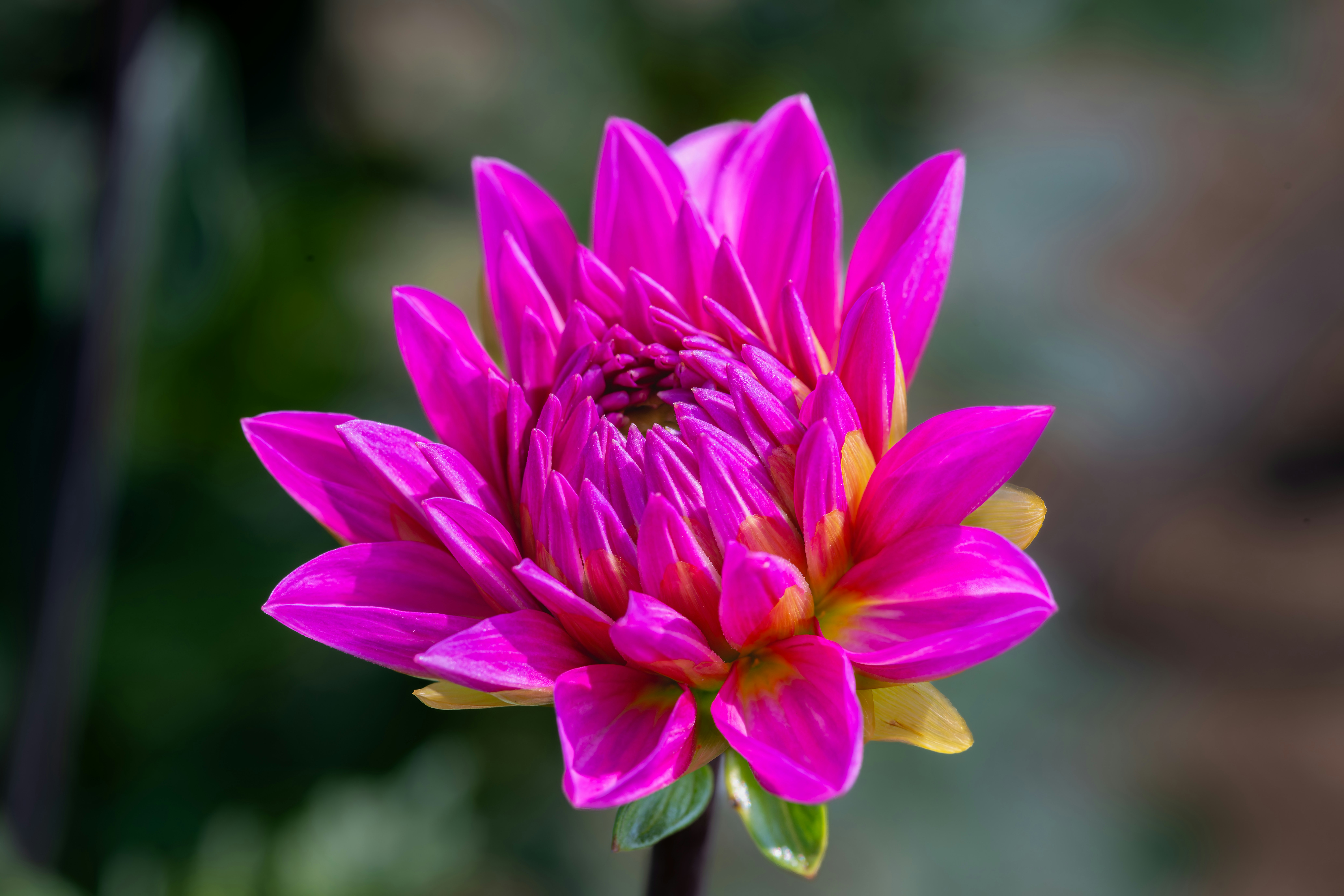 Photo by siegfriedpoepperl