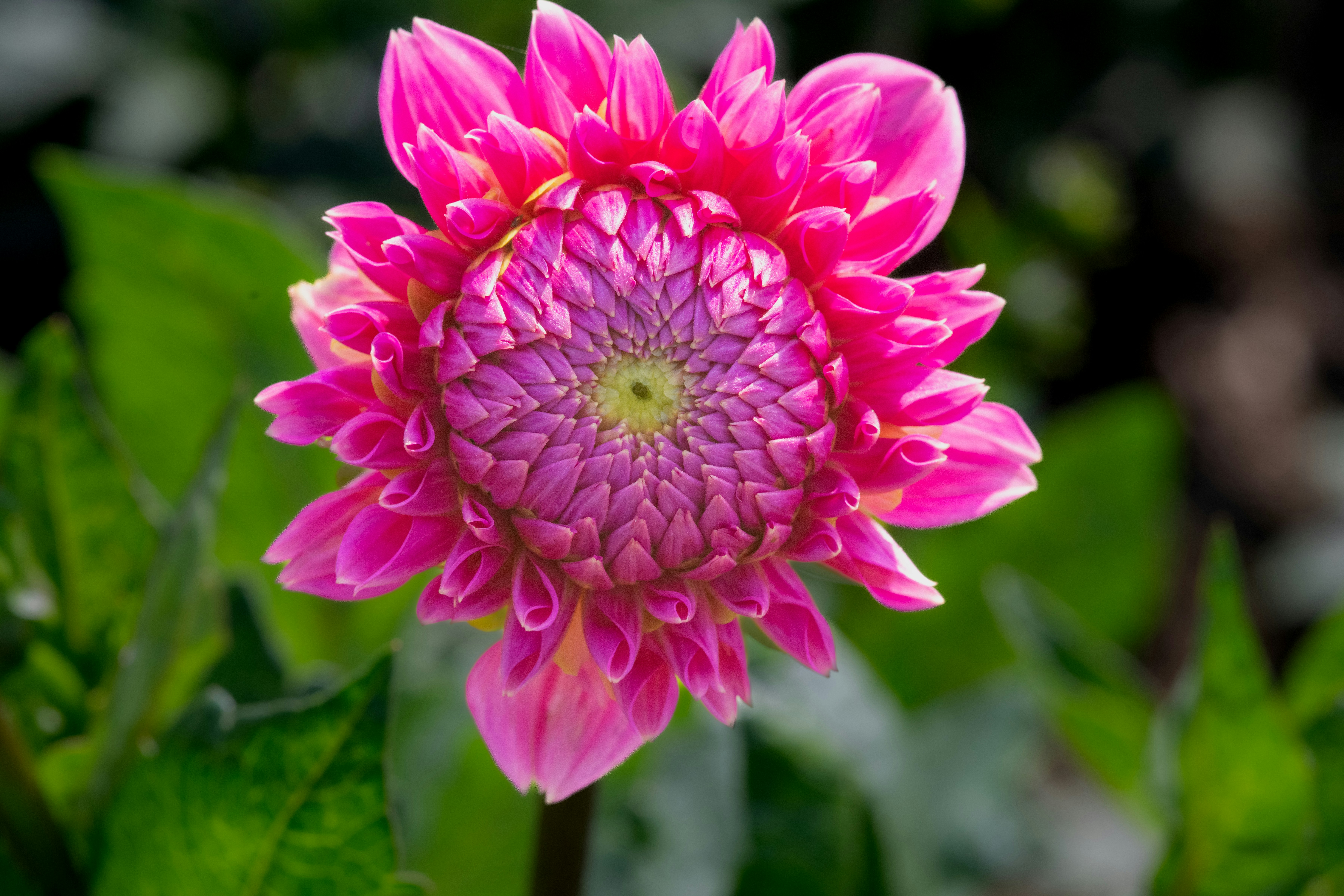 Photo by siegfriedpoepperl