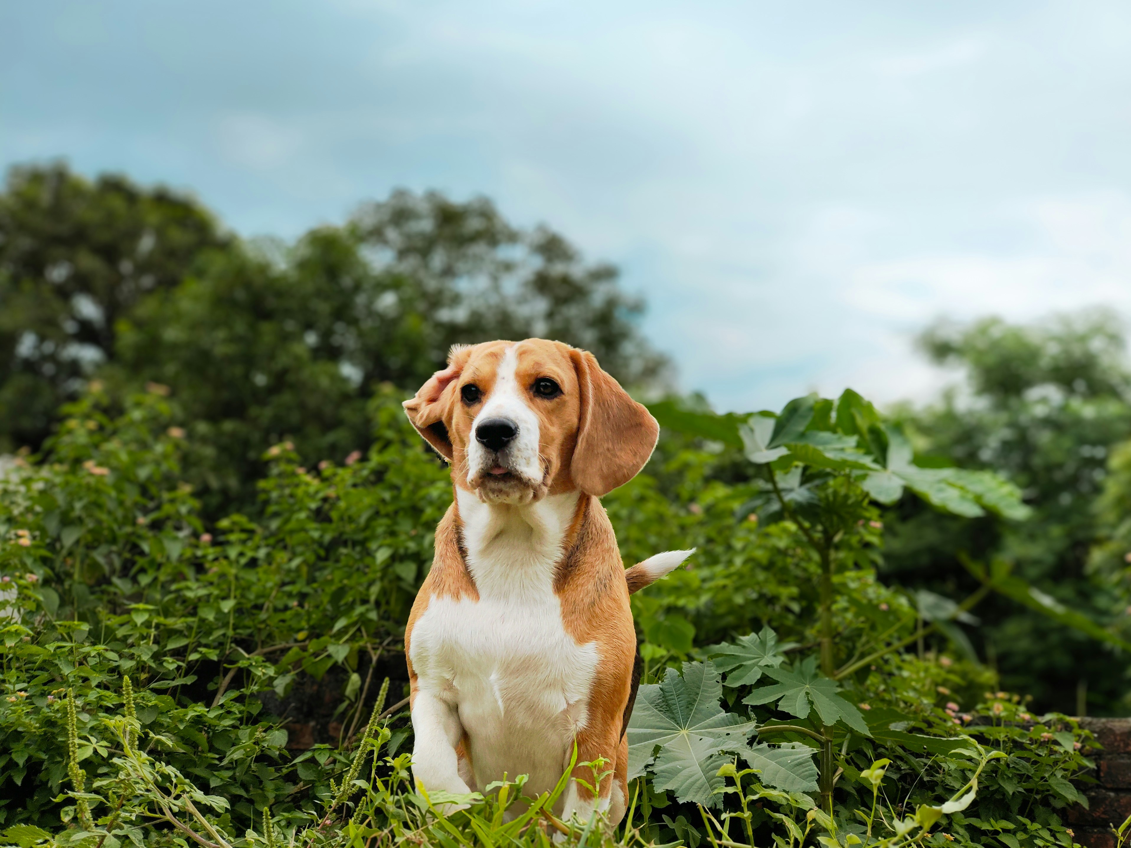 Photo by rahuldaanga