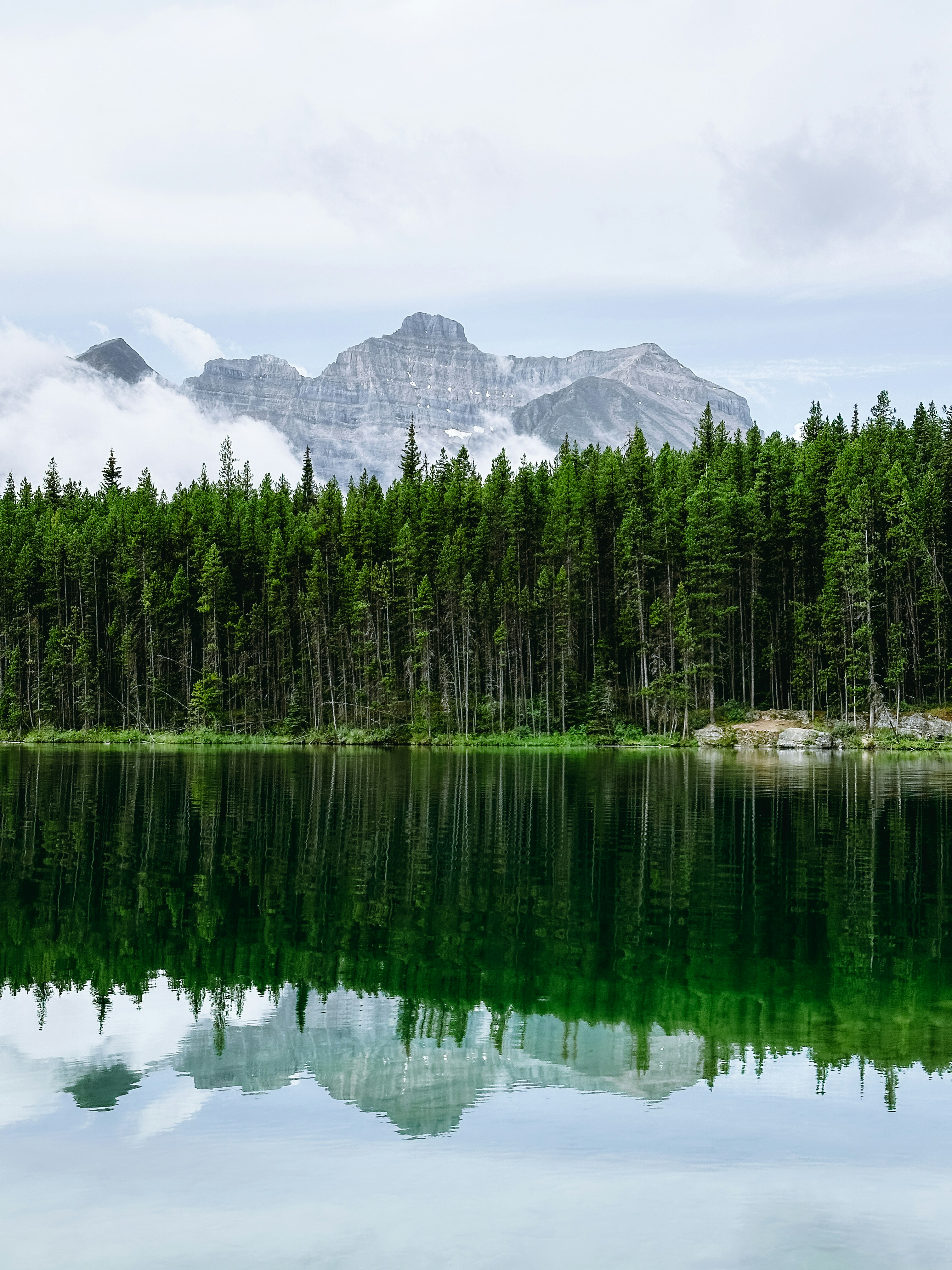 Photo by florianschmid