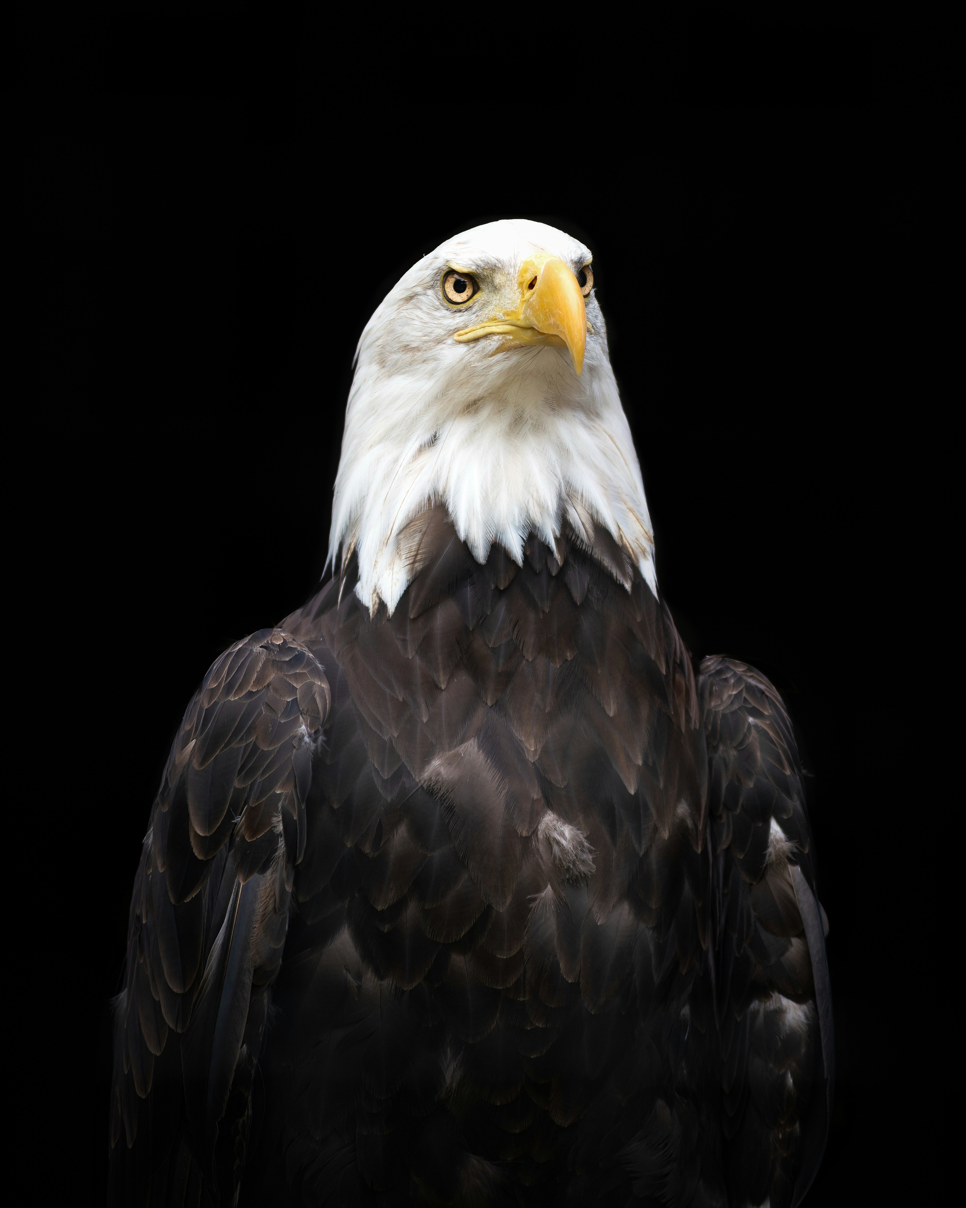 Photo by vignette_colours