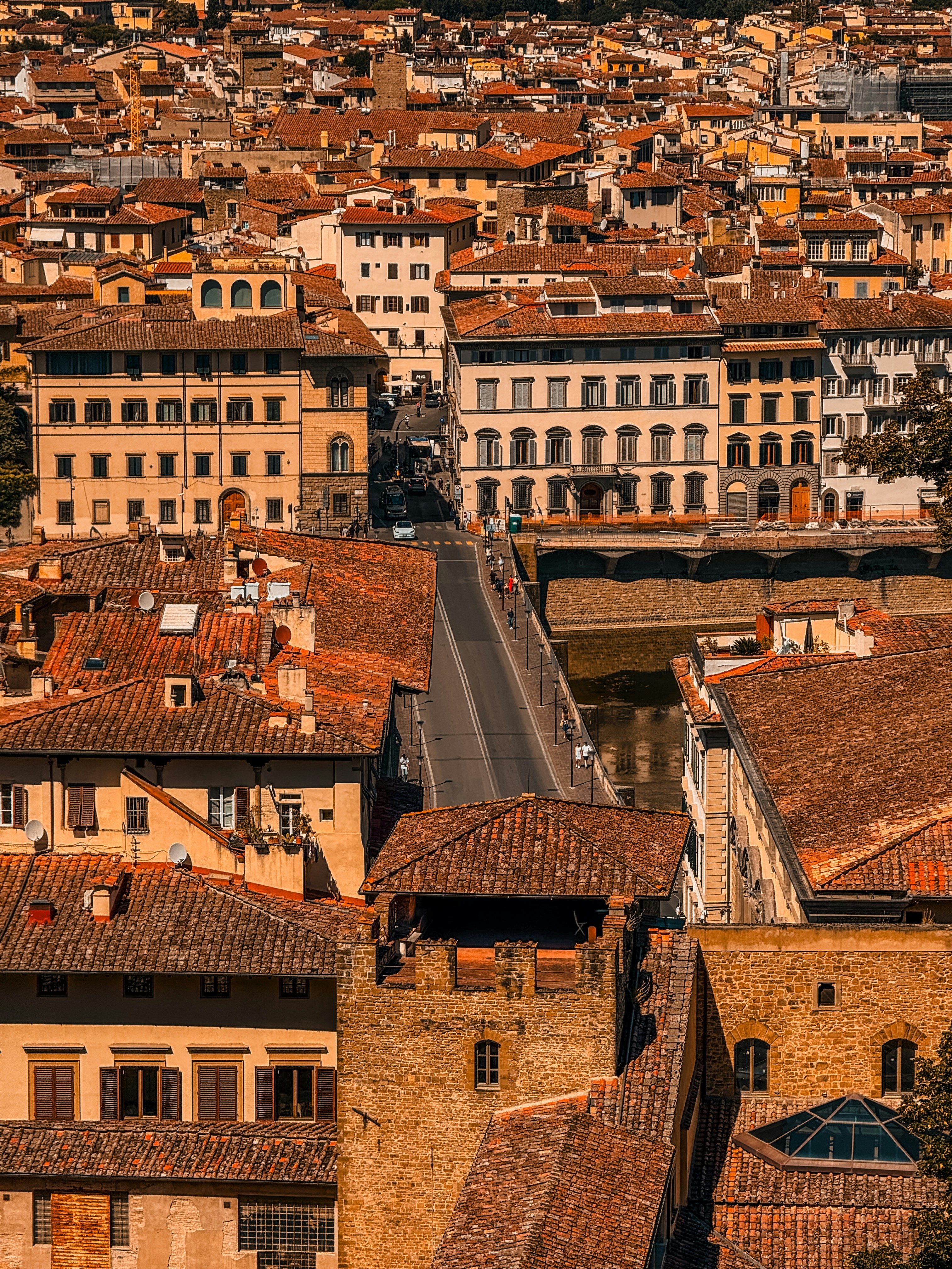 Photo by ionutcostin07