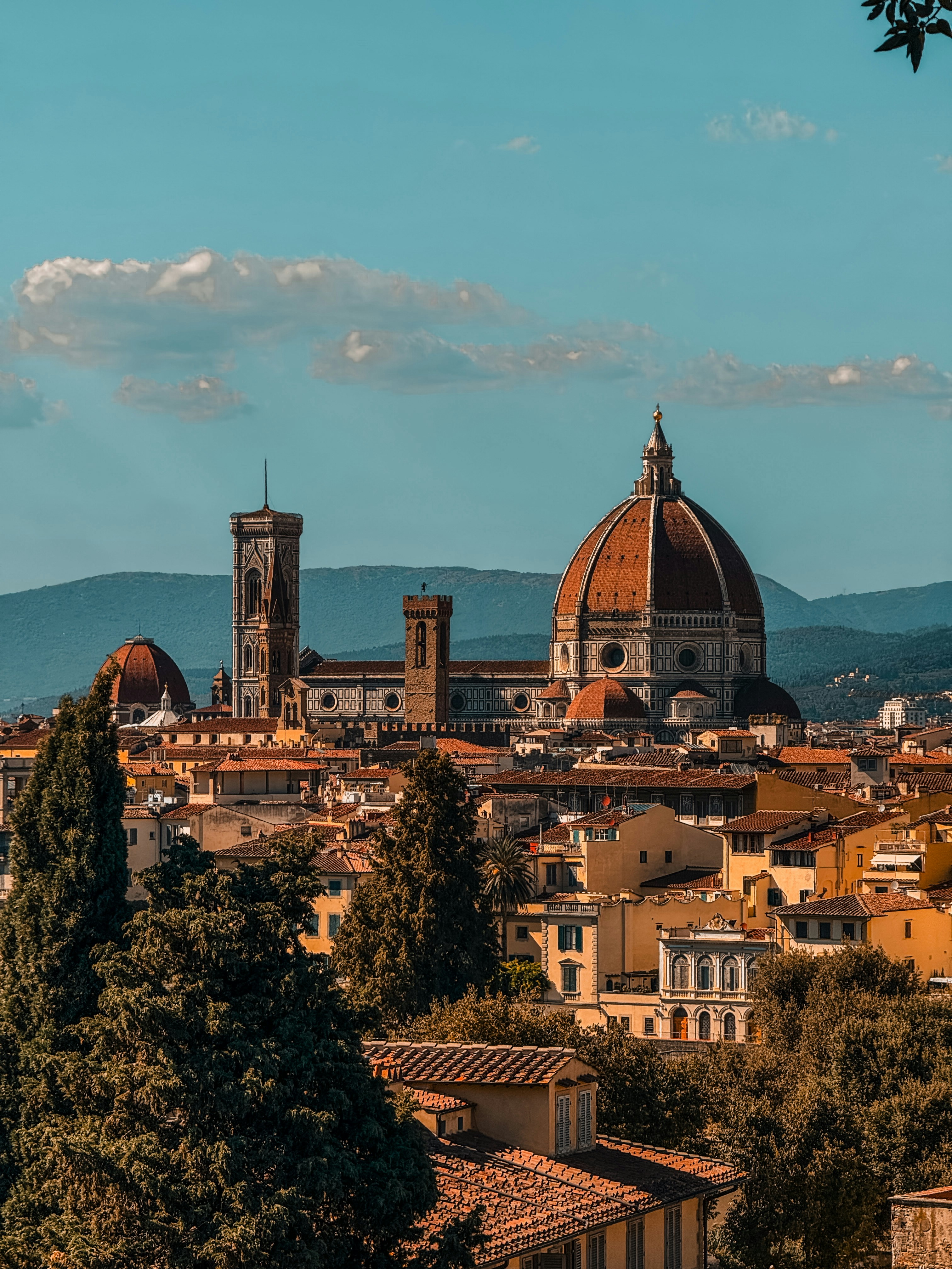 Photo by ionutcostin07