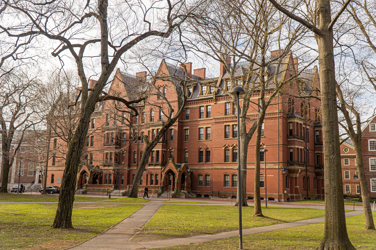 Trees framing a historic red-brick building at Harvard University, Cambridge, Massachusetts
