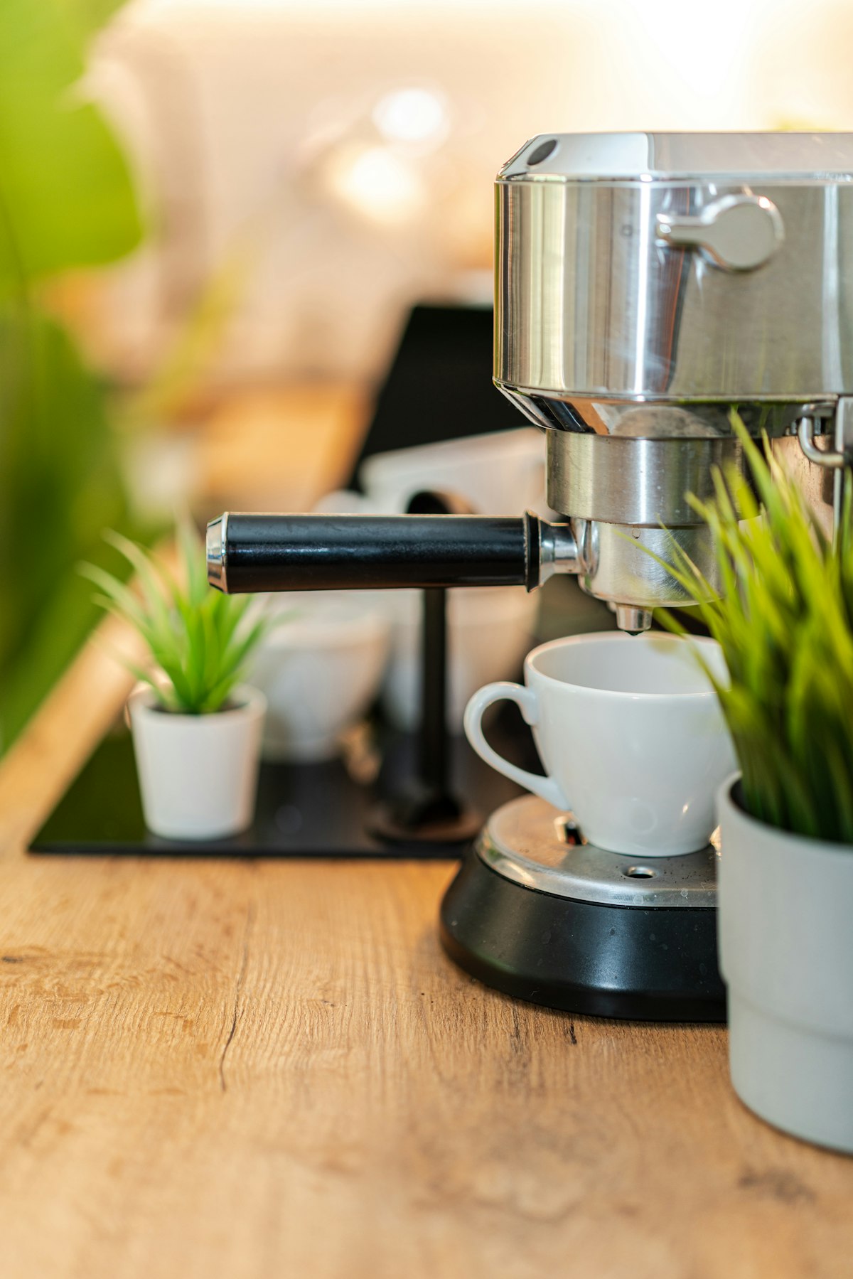 A stainless steel home espresso machine on a wooden kitchen counter surrounded by small green plants