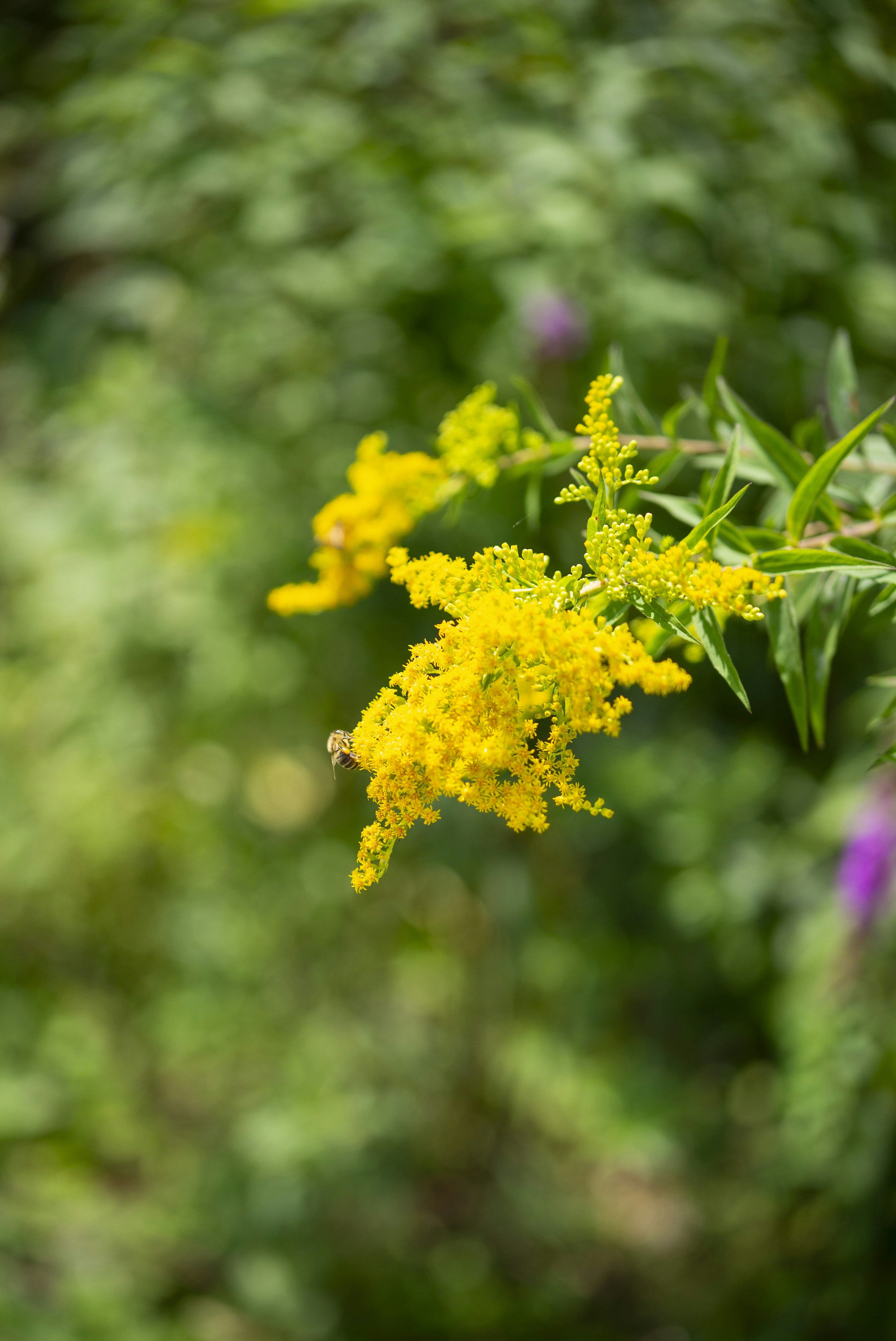 Photo by seunghoparklee